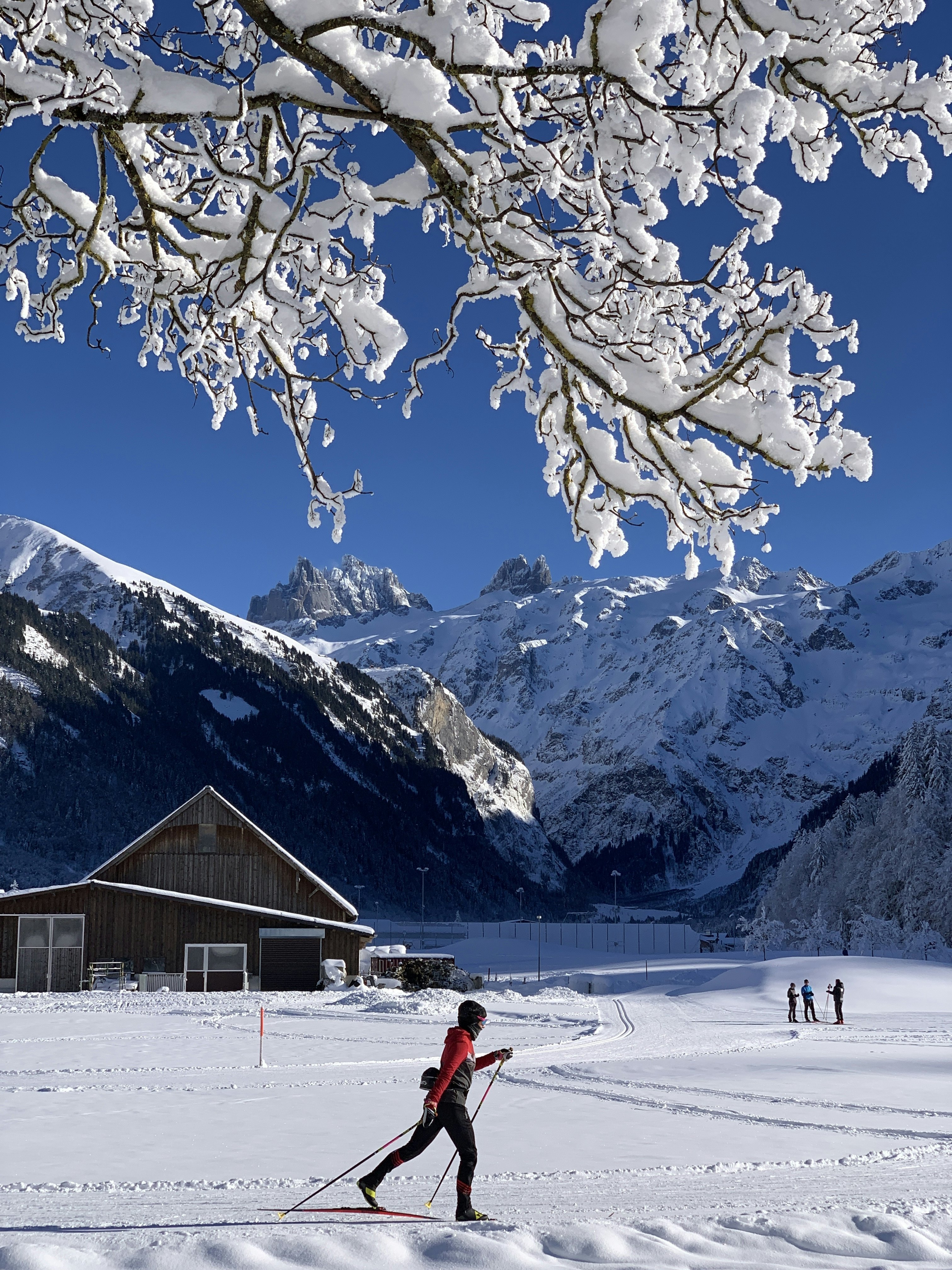 A cross-country skier on a sunny day in Switzerland; mountains and a wood structure are in the background.