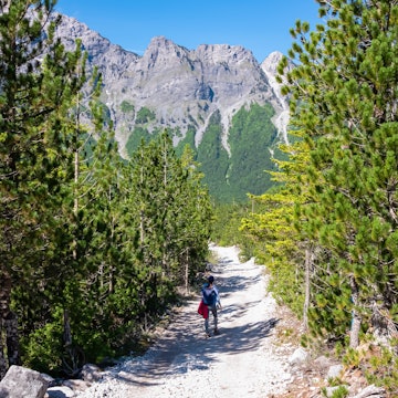 Hiker woman on scenic hiking trail from Valbona to Theth through alpine pine forest. Majestic snow-capped mountain peaks of massif Zhaborret, Albanian Alps, Valbone Valley National Park, Albania, License Type: media, Download Time: 2025-08-24T15:55:35.000Z, User: Norma.PrauseBrewer_LonelyPlanet, Editorial: false, purchase_order: 56530 - Guidebooks, job: Global Publishing WIP, client: Albania-1, other: Norma Brewer