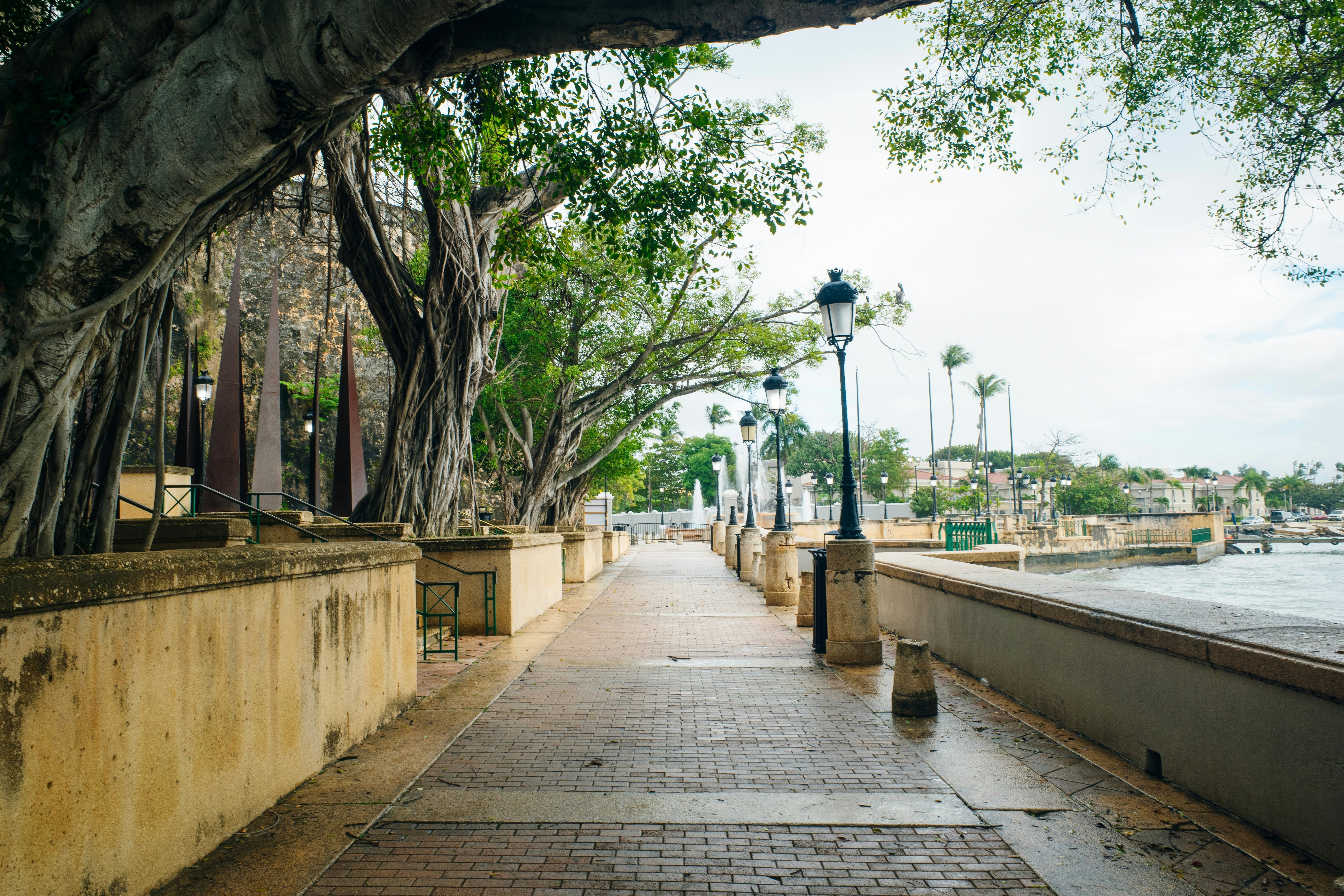 brick path with trees overhead and lined with street lamps