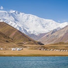 Scenic landscape view of snowcapped Lenin Peak aka Ibn Sina peak in Trans Alay mountain range with lake Tulpar Kul and yurt camp, Sary Mogul, Kyrgyzstan, License Type: media, Download Time: 2025-06-19T16:56:15.000Z, User: catalinaaragon, Editorial: false, purchase_order: 56530 - Guidebooks, job: Global Publishing WIP, client: Central Asia 8, other: Central Asia 8