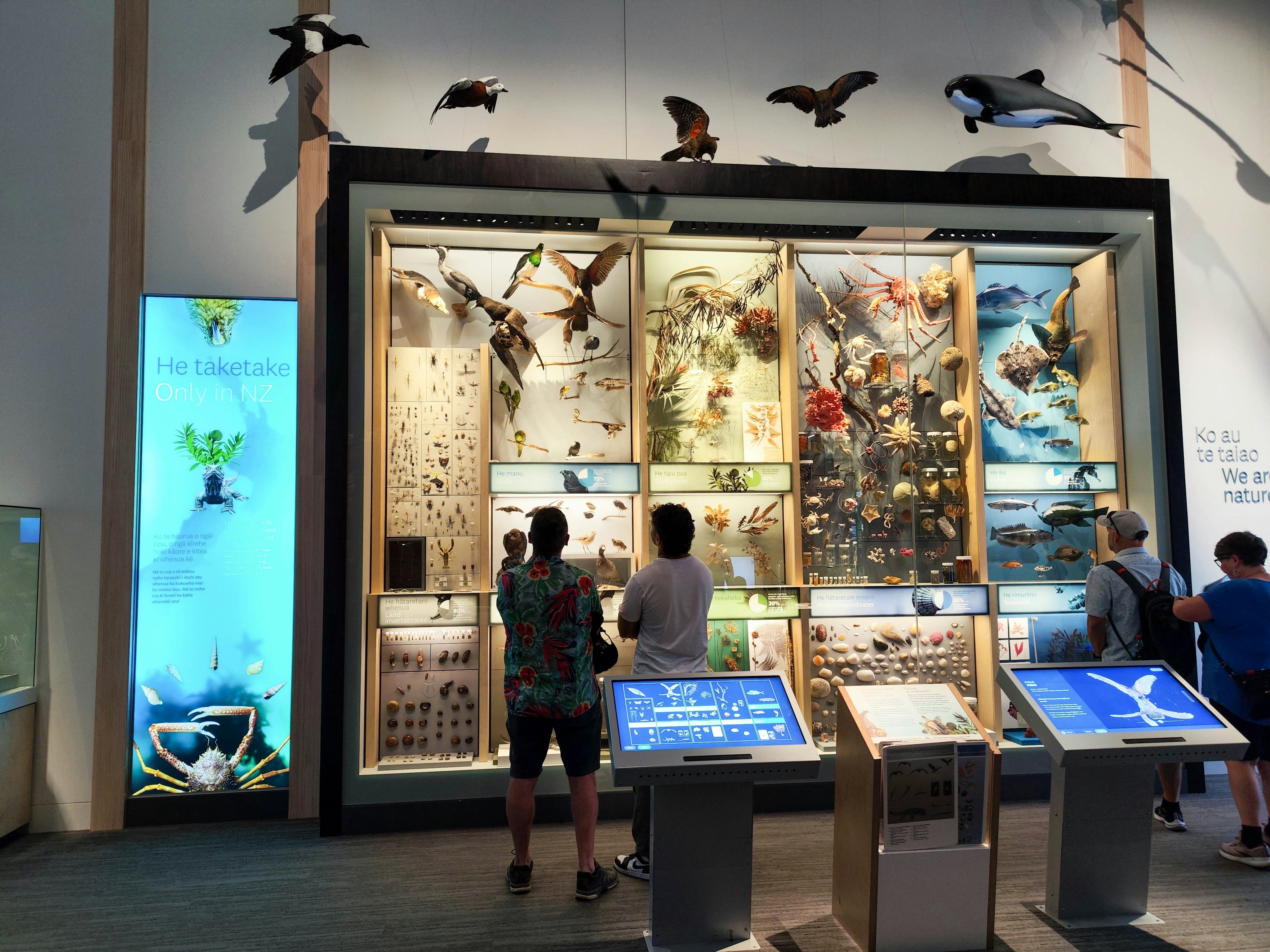 People look at a large display on nature in a museum.