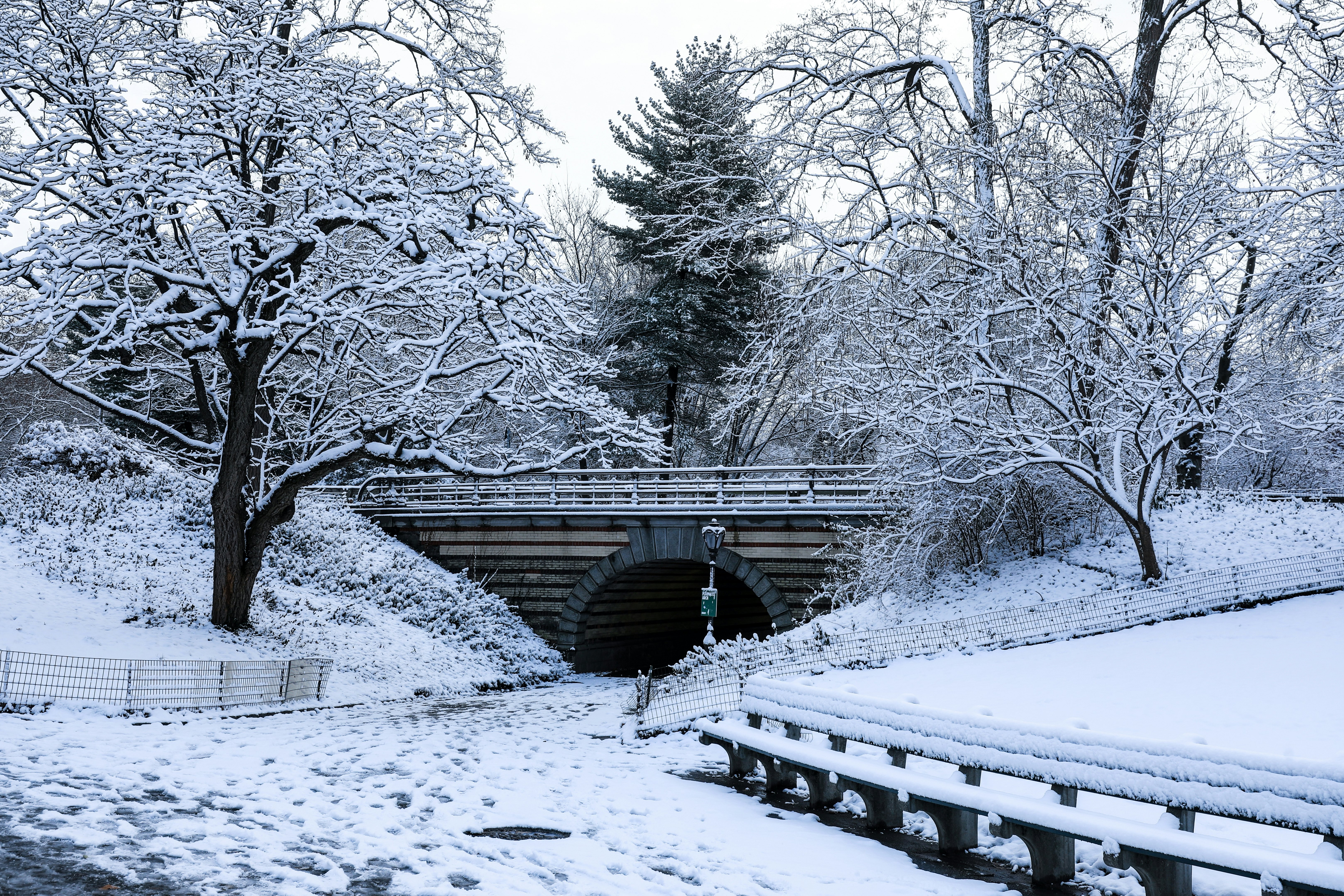 Scenic view of snow covered landscape in Central Park New York at Christmas