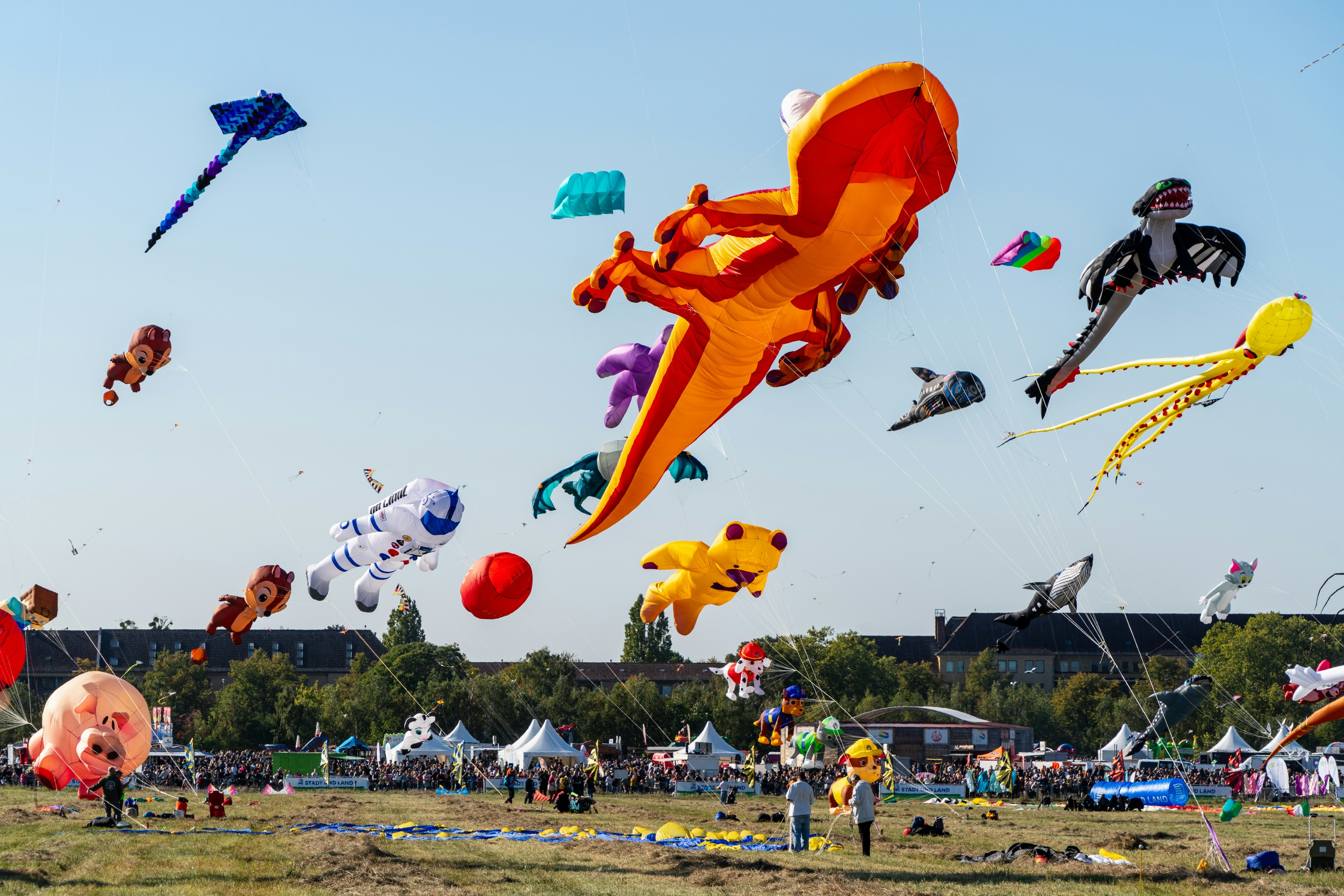People fly extra-large kites in various shapes, including astronaut, pig, and dragon, at a grassy park on a sunny day.