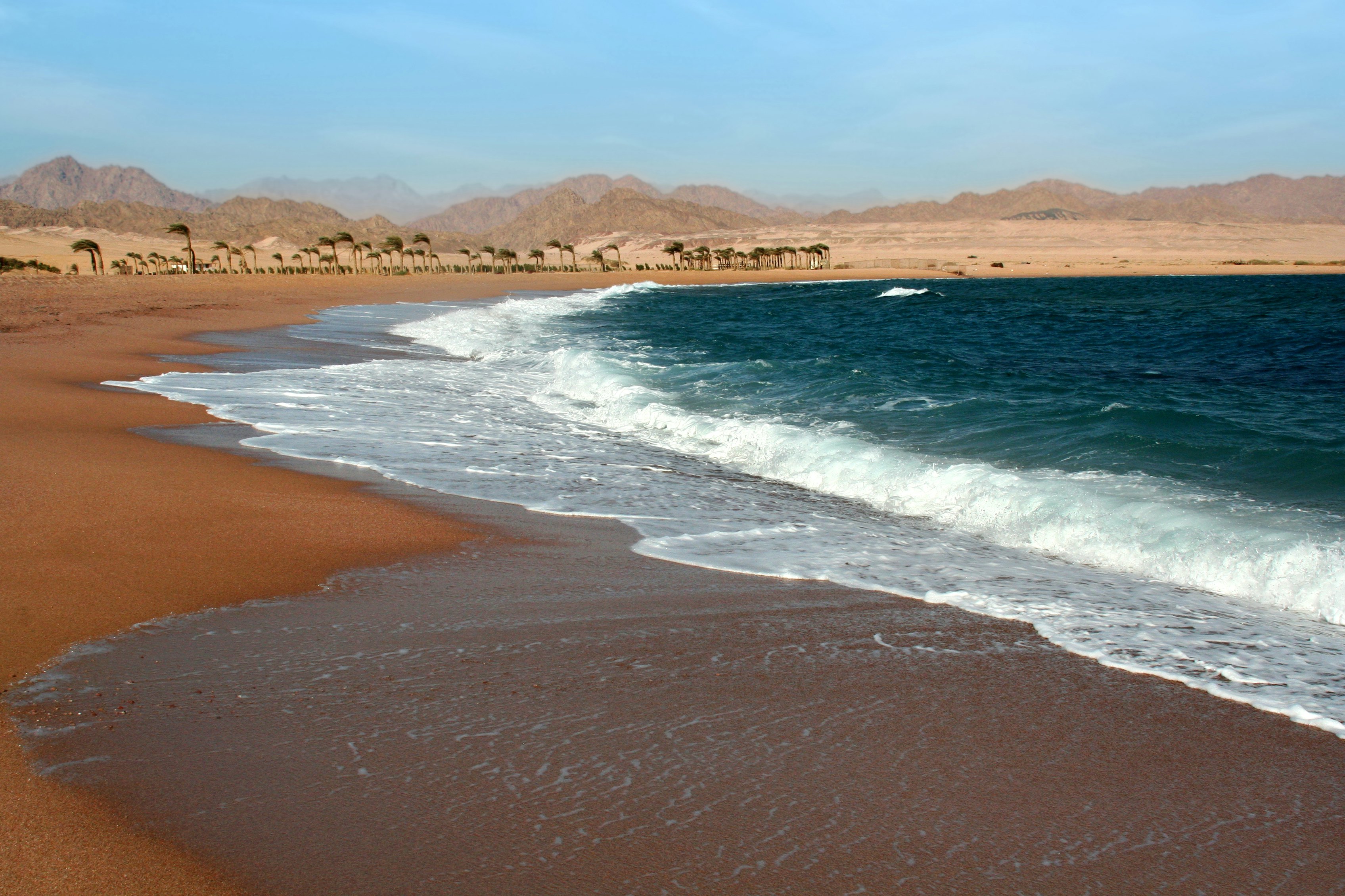 A view of an empty beach and distance mountains and palm trees at Nabq Bay, Egypt.