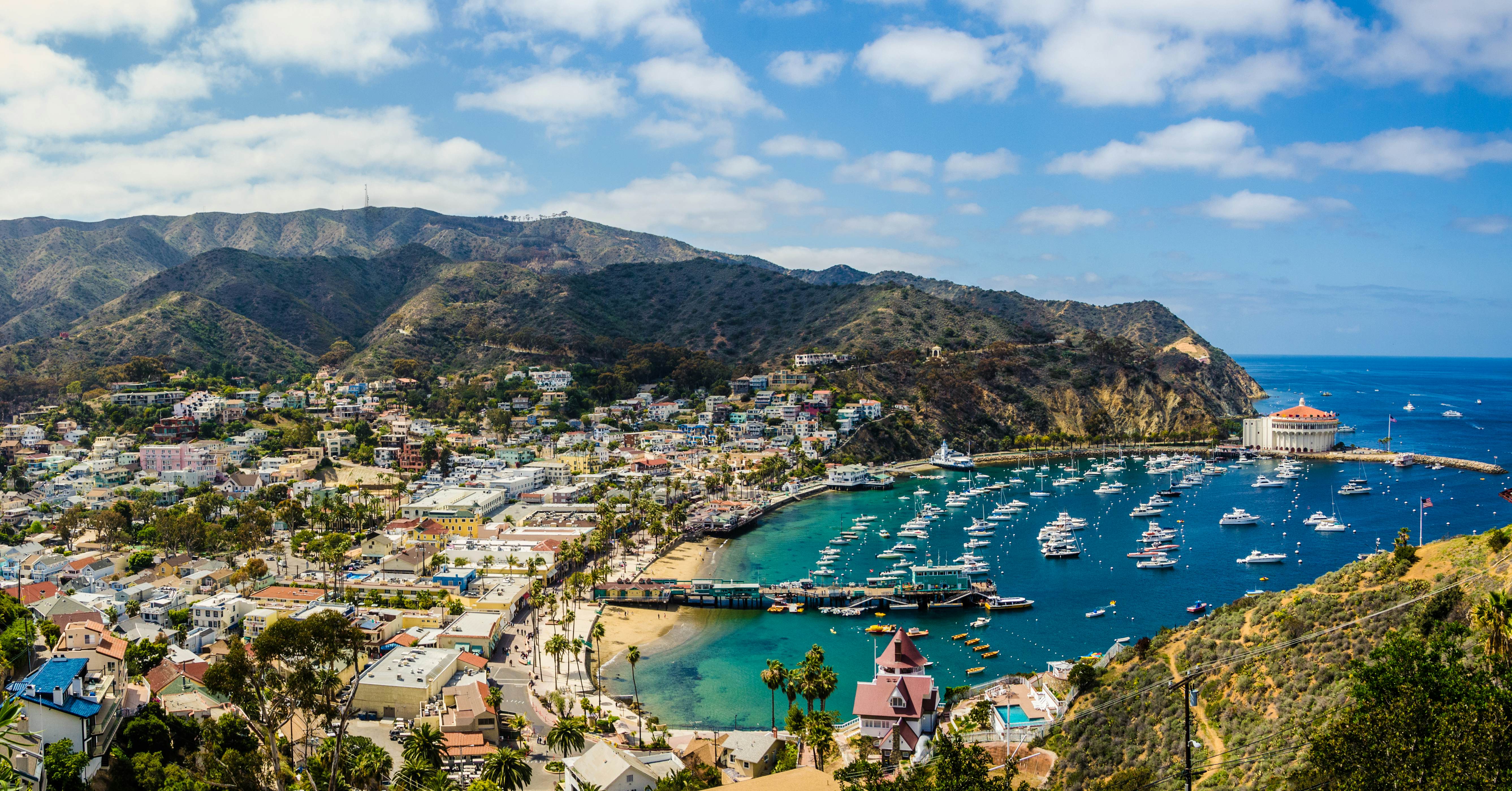 California island paradise. An ideal day captured on the Southern California island getaway - Catalina. , License Type: media, Download Time: 2025-07-24T09:45:34.000Z, User: oneseven7891, Editorial: false, purchase_order: 56530 - Guidebooks, job: Global Publishing WIP, client: Experience California 2, other: Dominic Allen