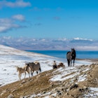 Horses at mountain pass above Song Kol lake in Kyrgyzstan., License Type: media, Download Time: 2025-06-19T17:00:19.000Z, User: catalinaaragon, Editorial: false, purchase_order: 56530 - Guidebooks, job: Global Publishing WIP, client: Central Asia 8, other: Central Asia 8