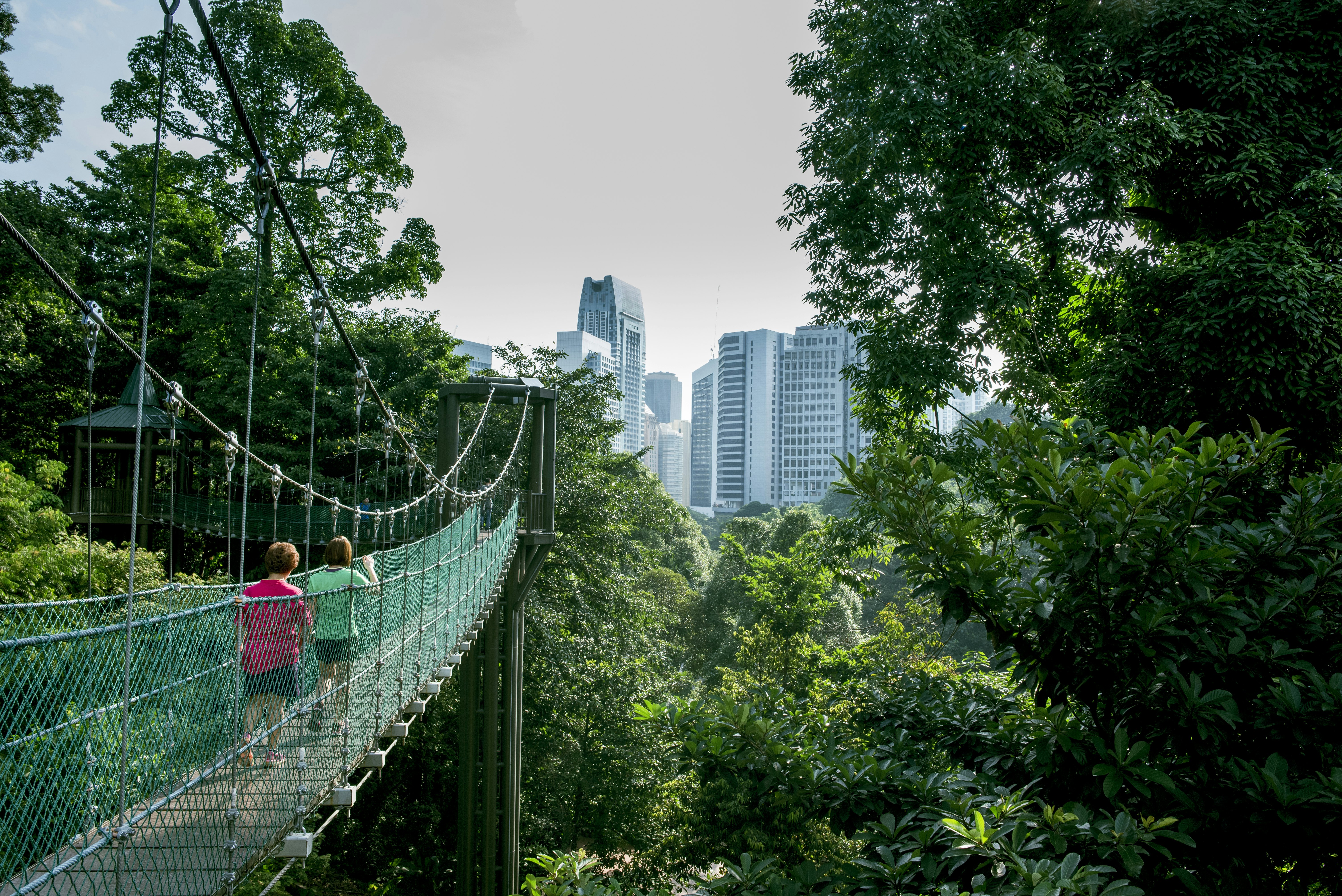 People walk across a rope bridge over a jungle in a city park. Apartment towers of the city are seen in the distance.