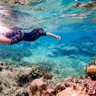 Underwater image of 7 year old boy snorkeling through coral reef near Ambergris Caye, Belize, License Type: media, Download Time: 2024-09-03T22:09:50.000Z, User: robinbarton170, Editorial: false, purchase_order: 56530, job: Global Publishing-WIP, client: Where to go When With Kids 1, other: Robin Barton