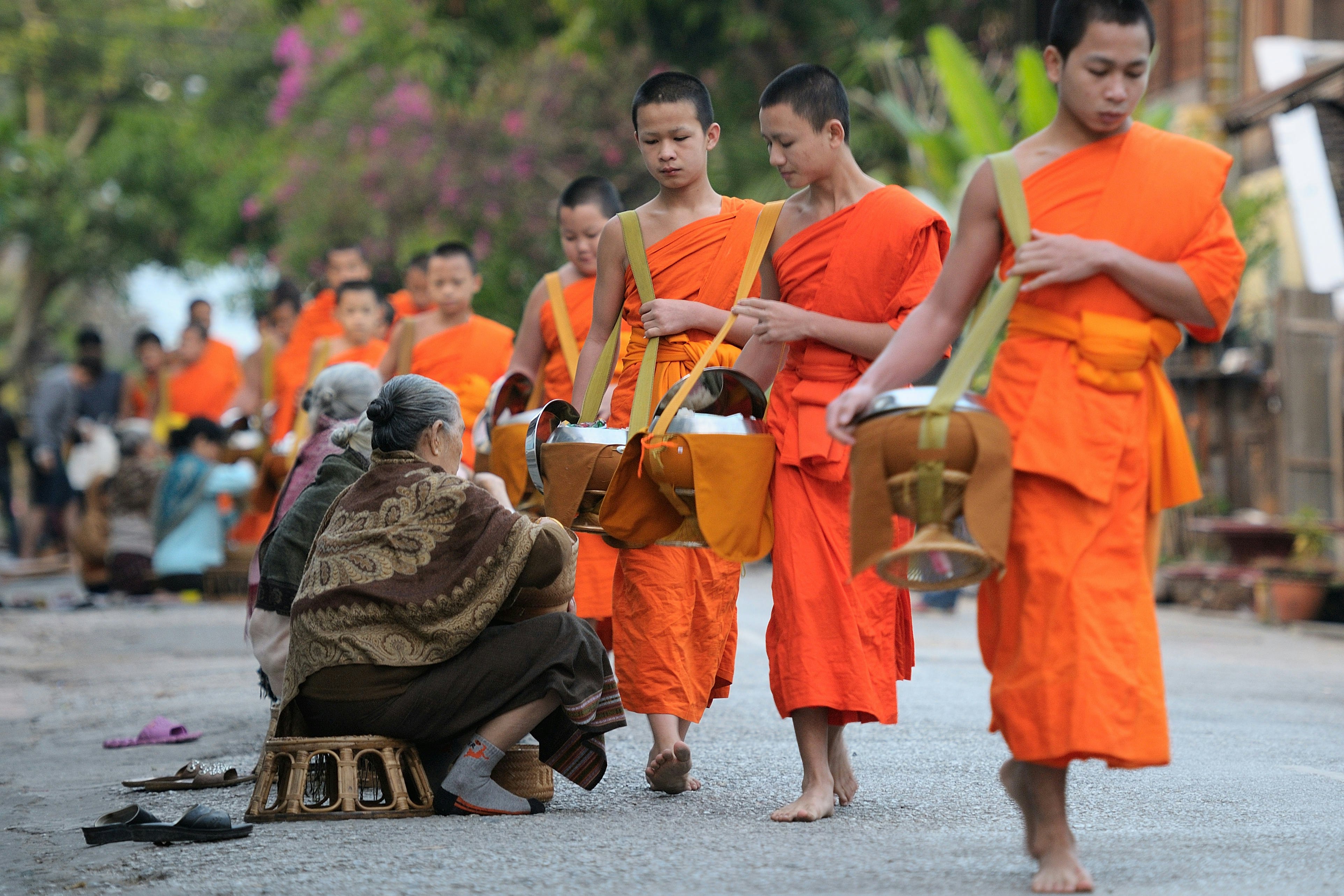 Local people offer food to Buddhist monks in the morning on the streets of Luang Prabang, Laos.