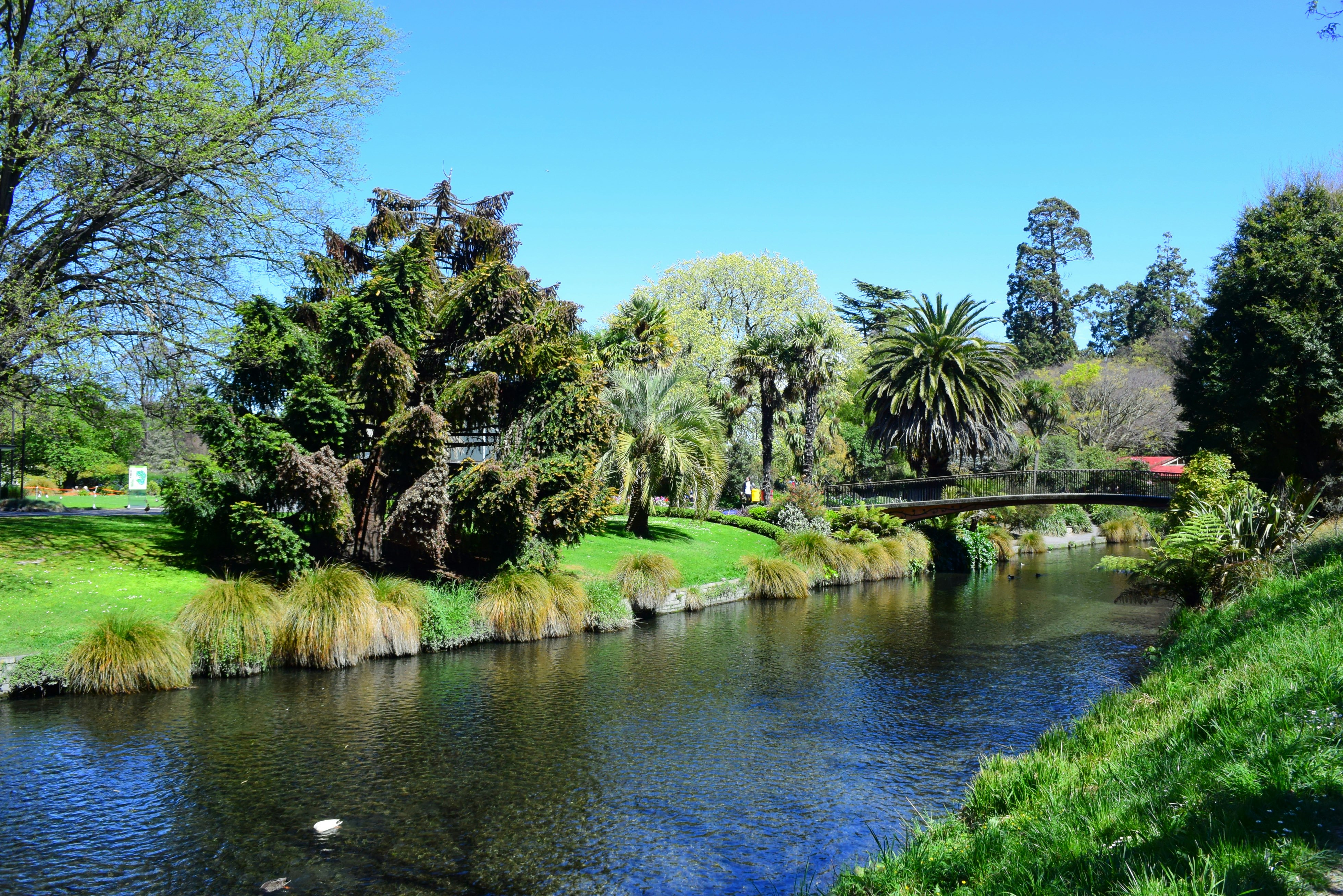 A bridge crossing a river at Christchurch's Botanic Gardens during Spring.
