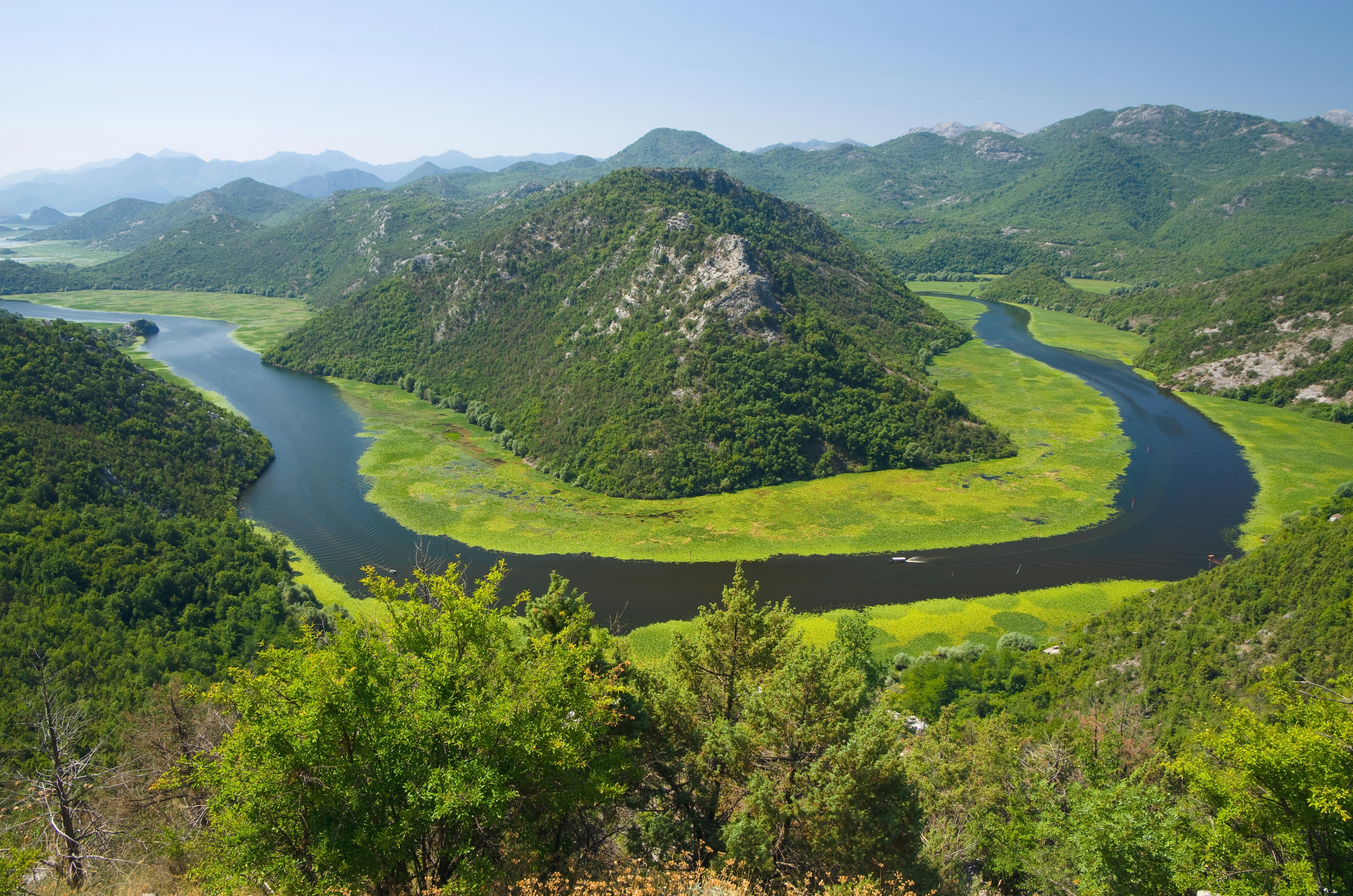Crnojevica River flowing into Lake Skadar National Park, Montenegro