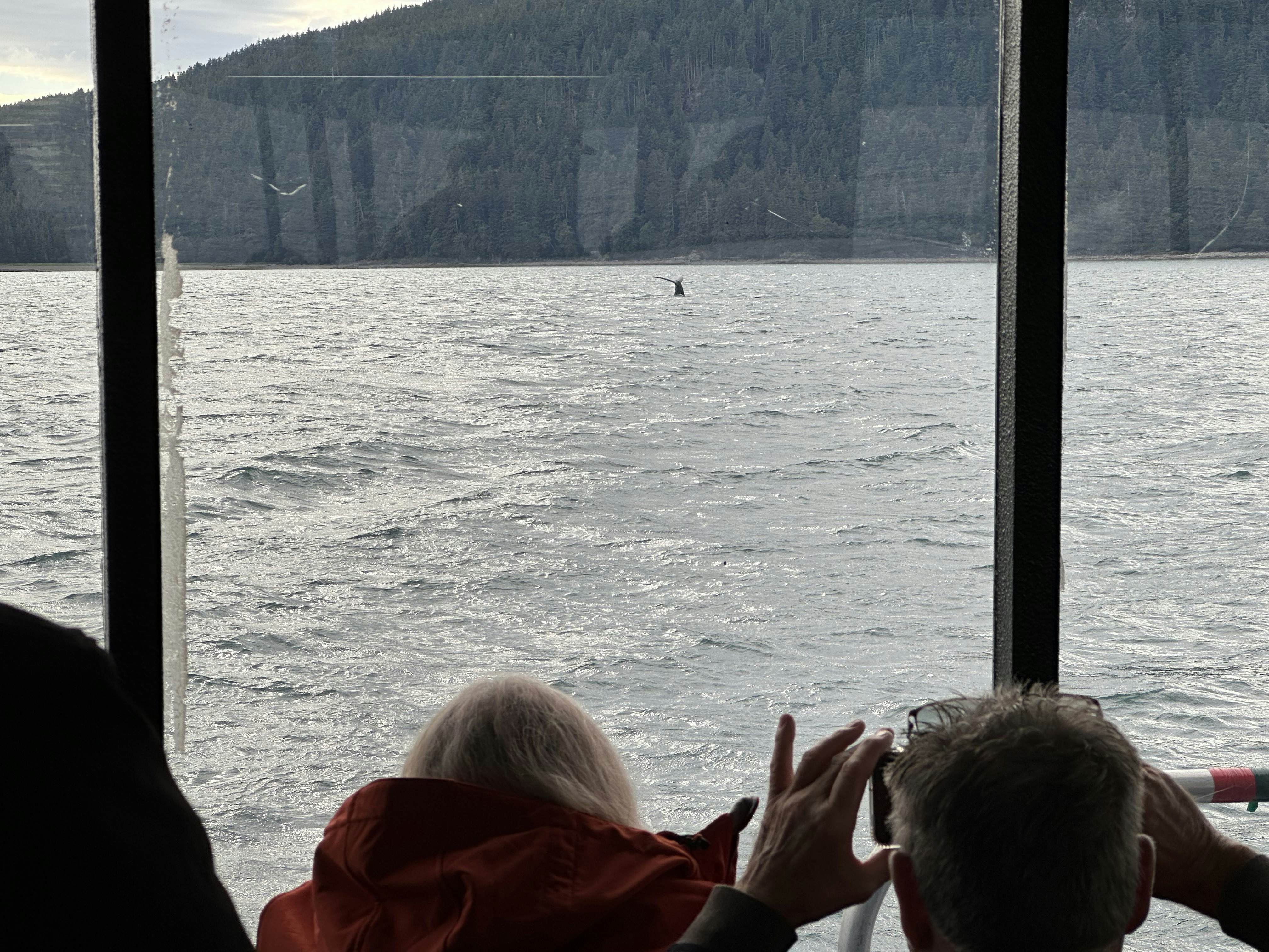 People inside a cruise shpping looking for whales out the window on an overcast day.