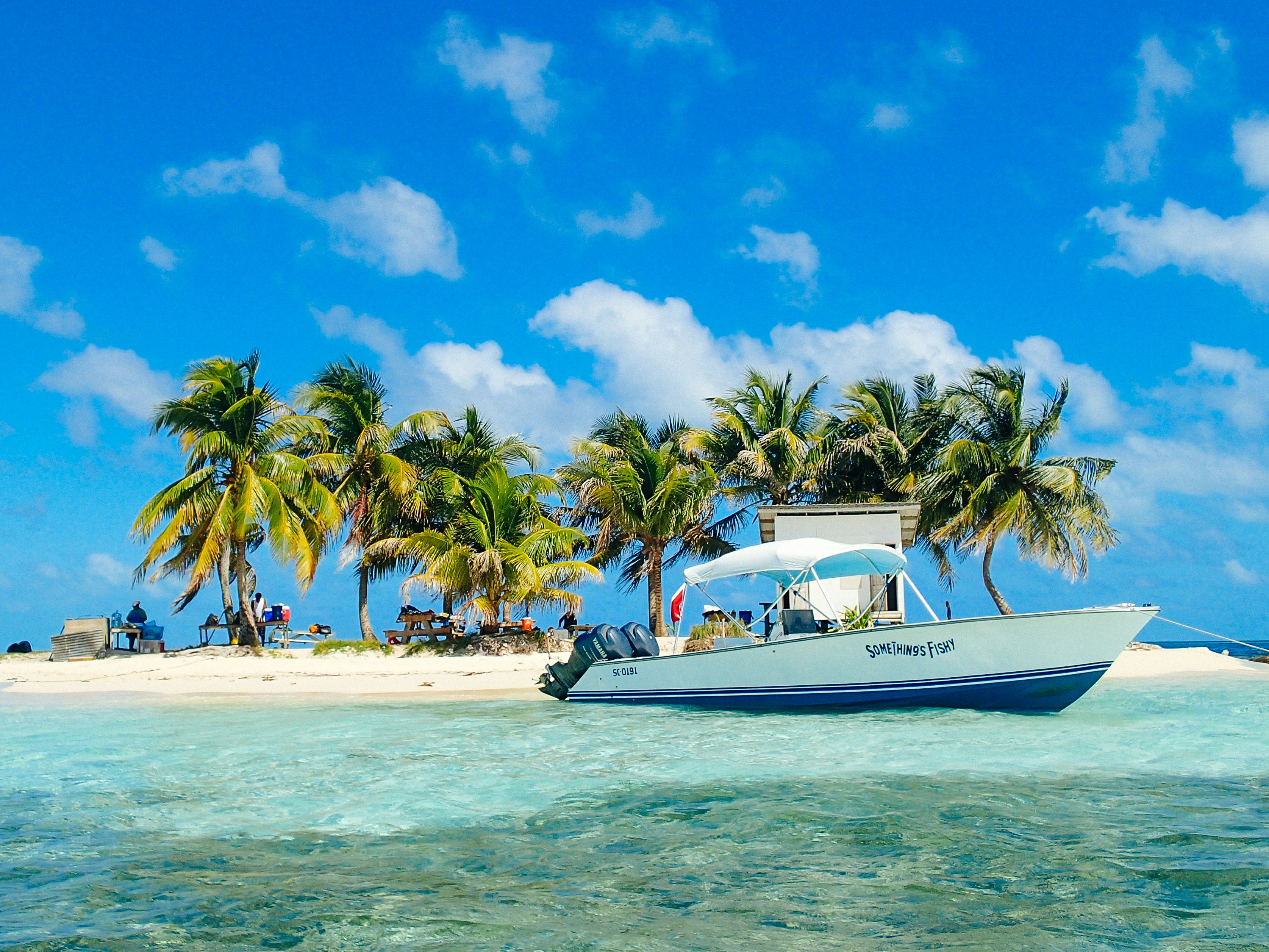 Gladden Spit & Silk Cayes Marine Reserve, with a boat in the water and trees on the beach.