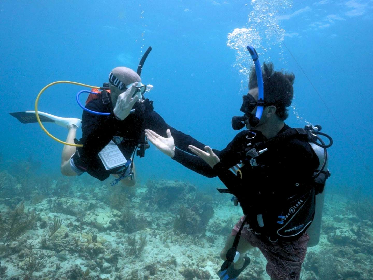 Aqua Hands with Nyle Dimarco
