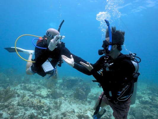Inside the world’s first and only Deaf-owned dive company
