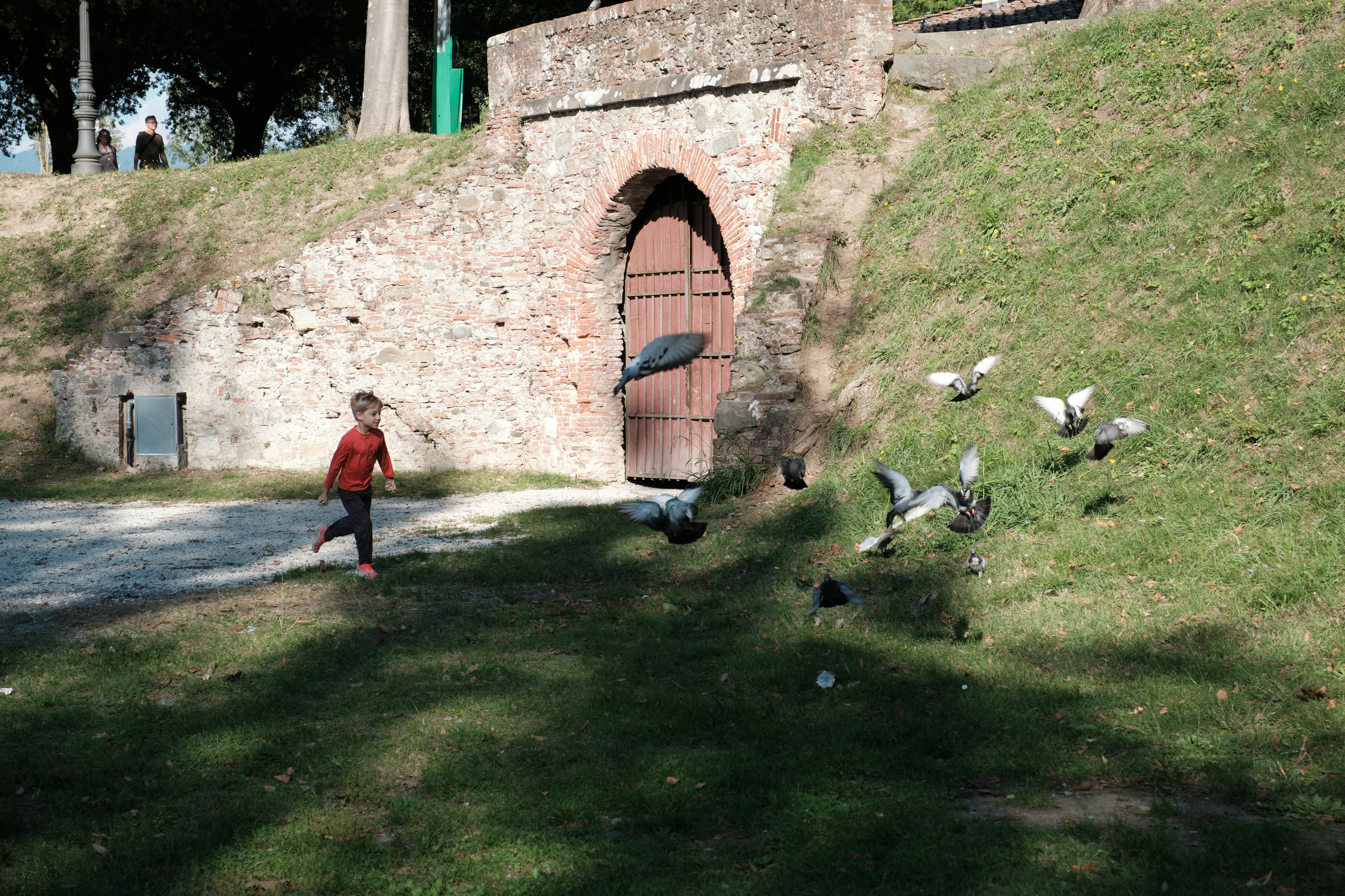 A small boy chases a group of pigeons near an ancient gateway in city walls.