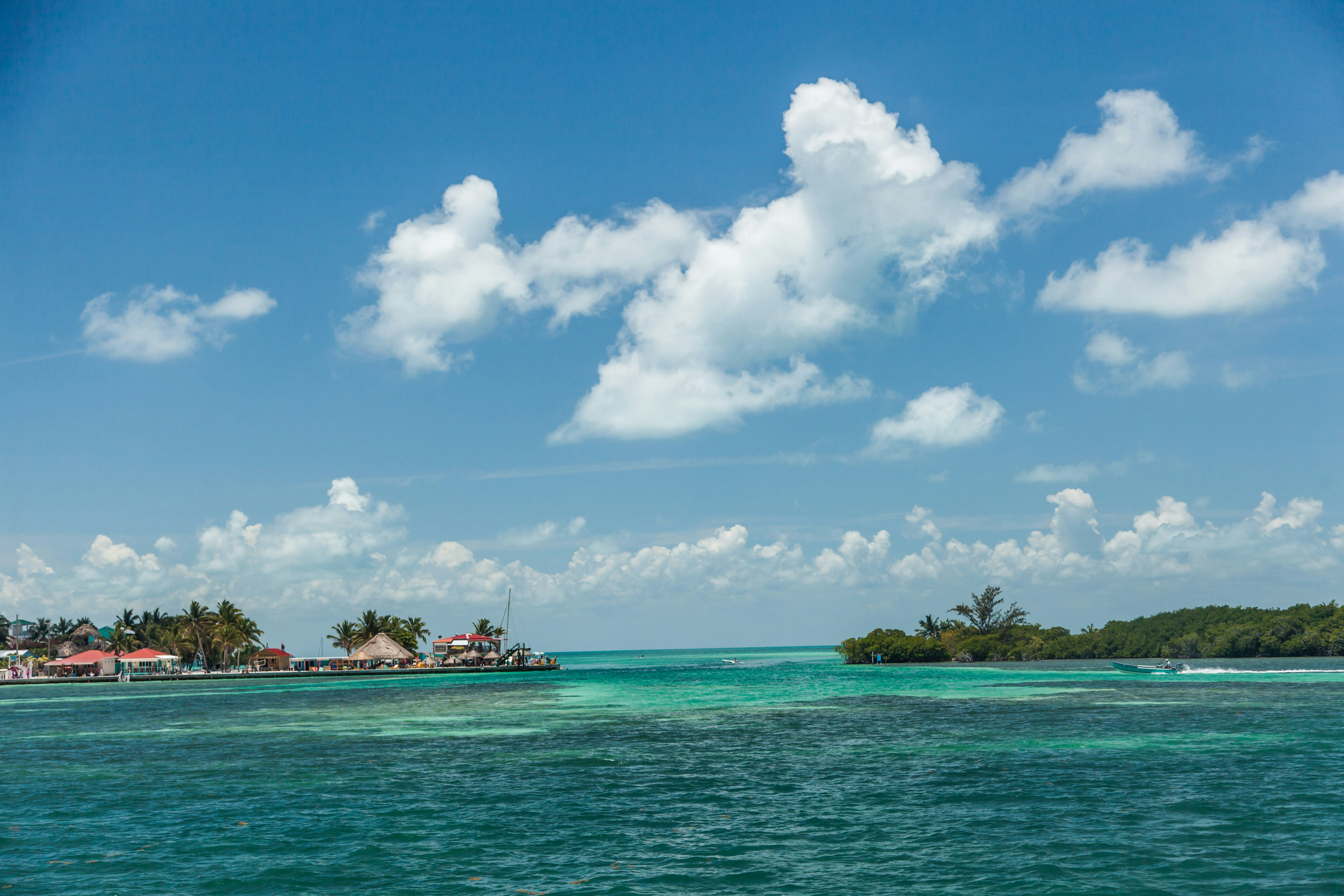 A small motorboat approaches land covered in palm trees and small wooden buildings.