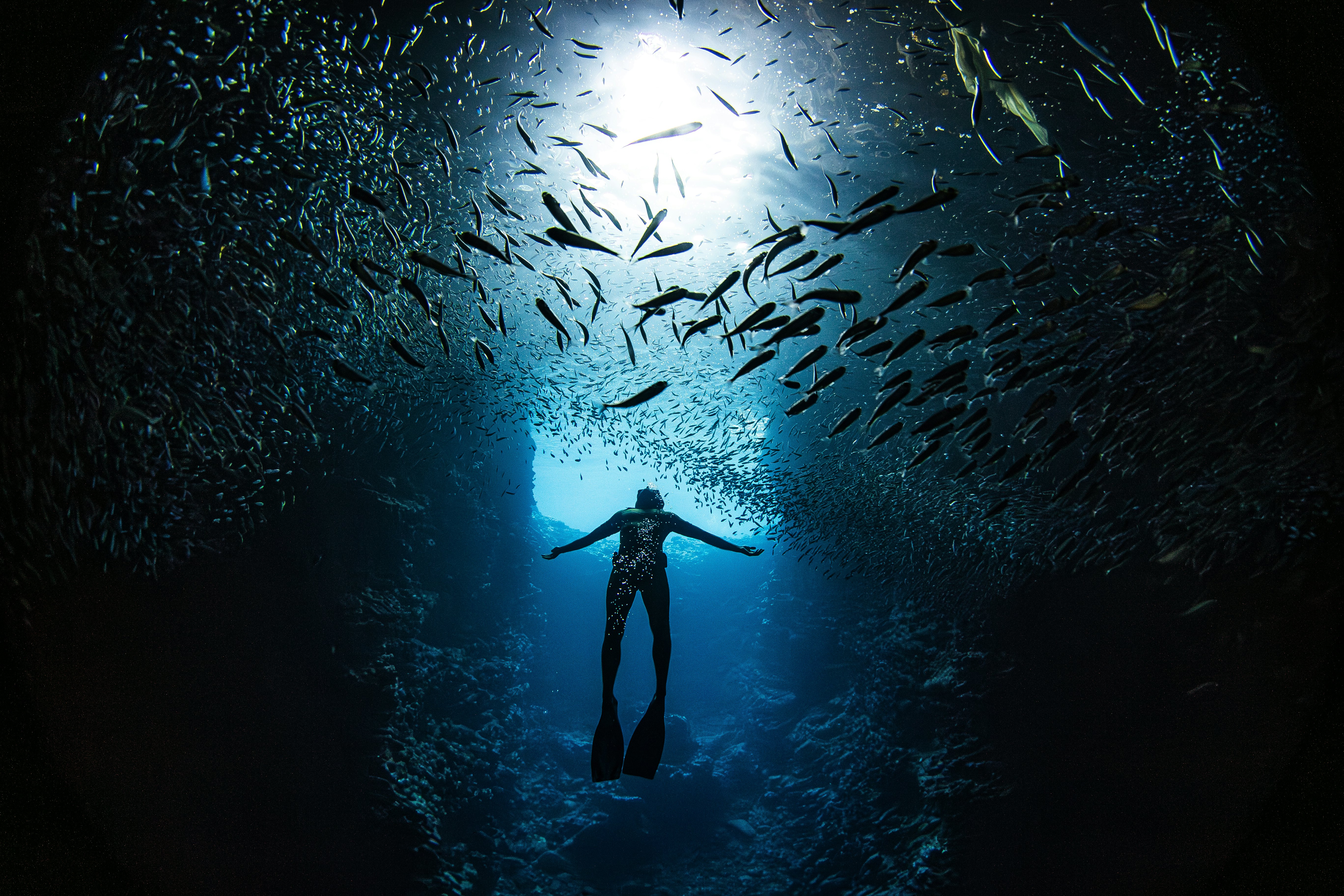 Free diver swimming through large school of fish