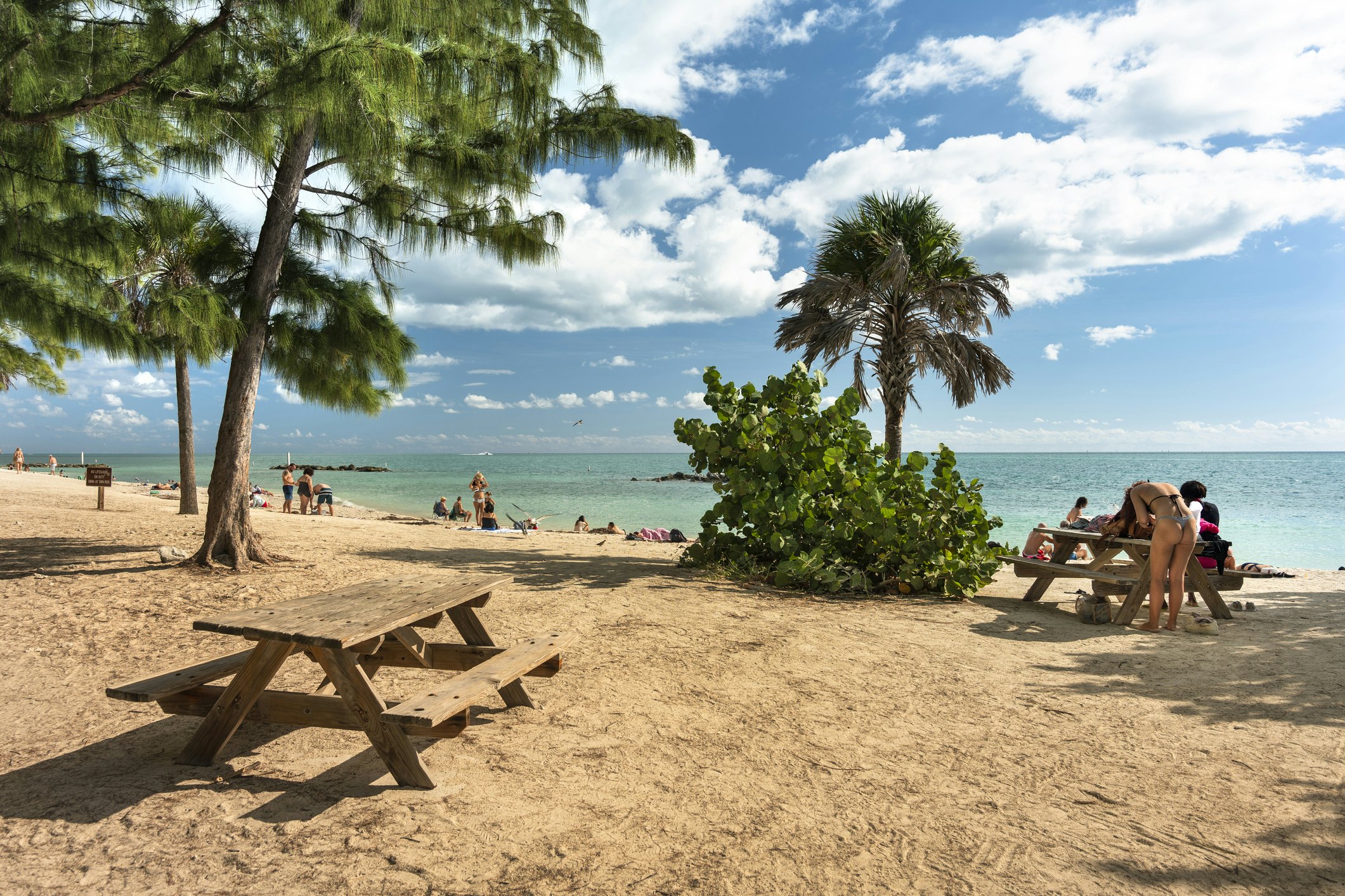 Picnic tables are shaded by trees at a beach. People are on the sand close to the water.