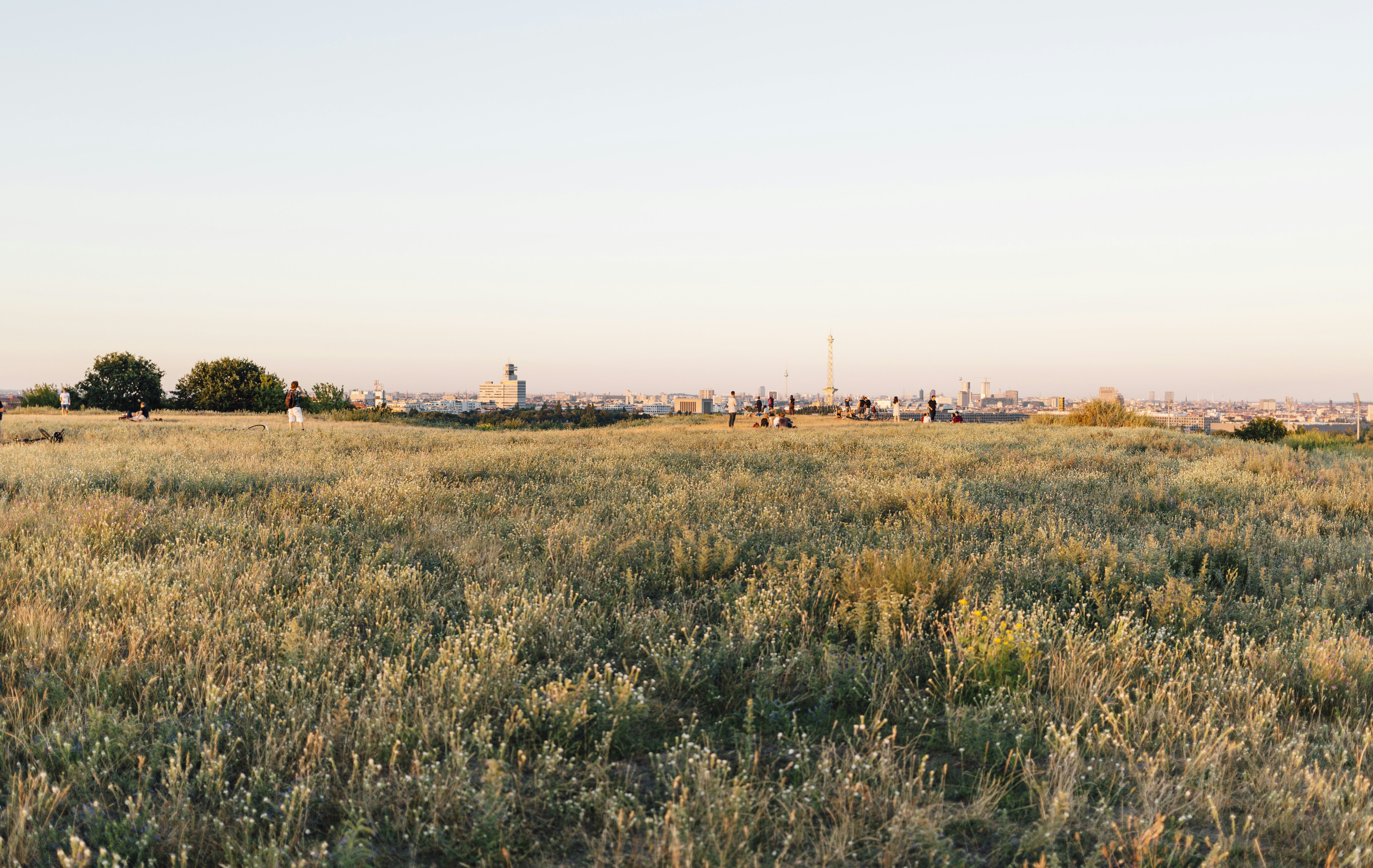 Wide open grassland on a hilltop. People gather at the edge for views of the city skyline below.