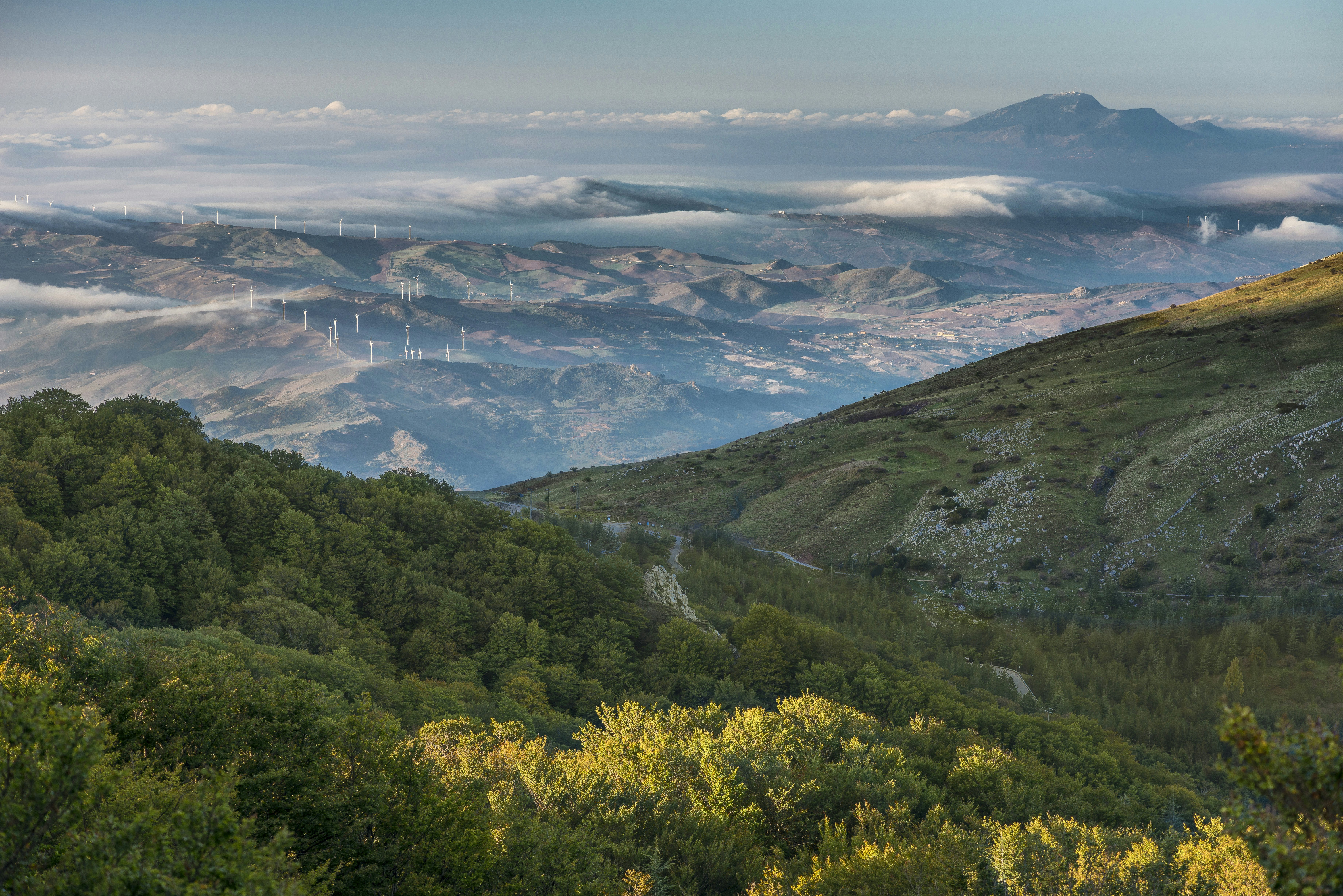 Aerial view of forested hills with a low, dirt-covered mountain range and low-hanging clouds spreading into the distance on a sunny day.