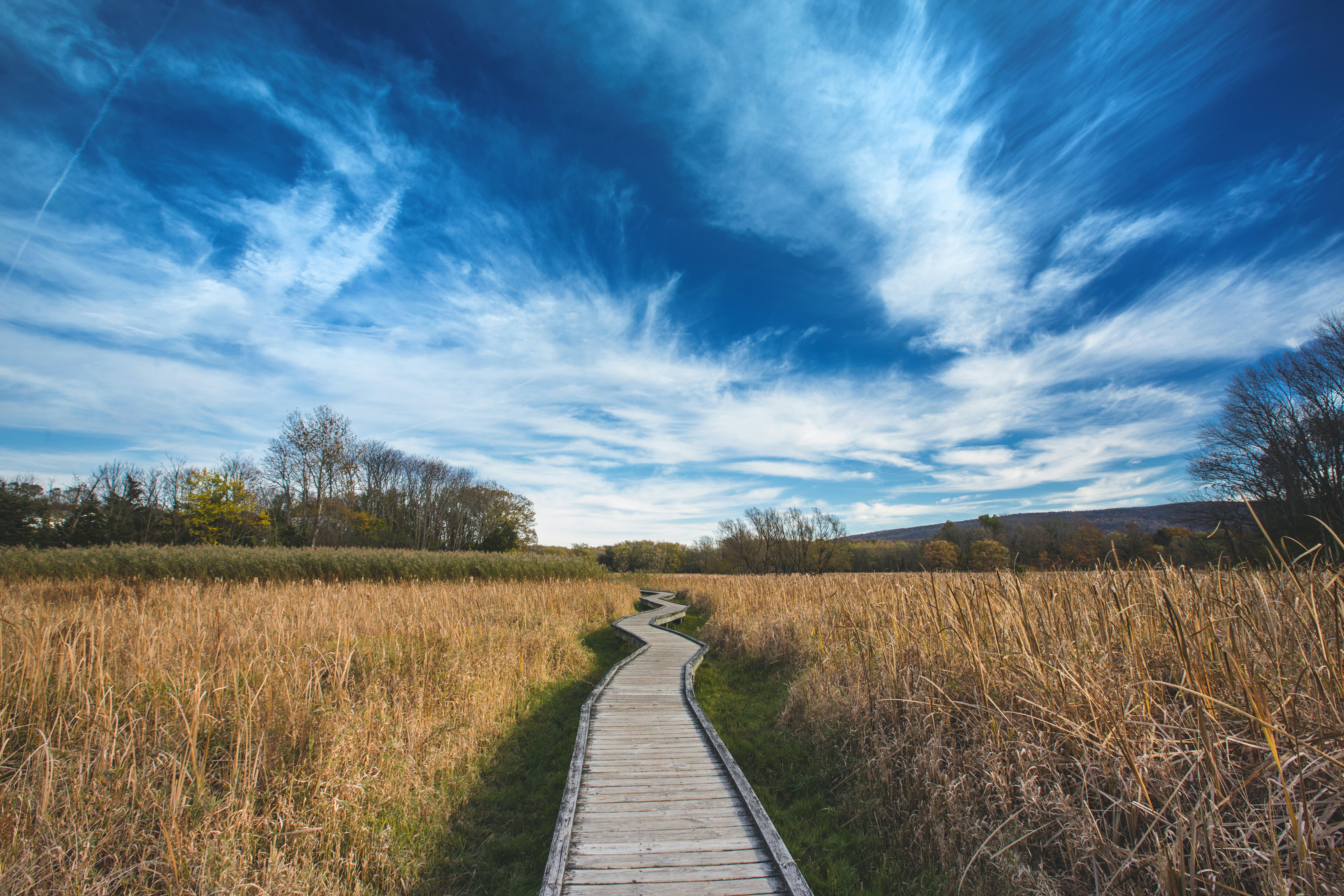 Appalachian Trail Boardwalk in Vernon, NJ, in Sussex County.