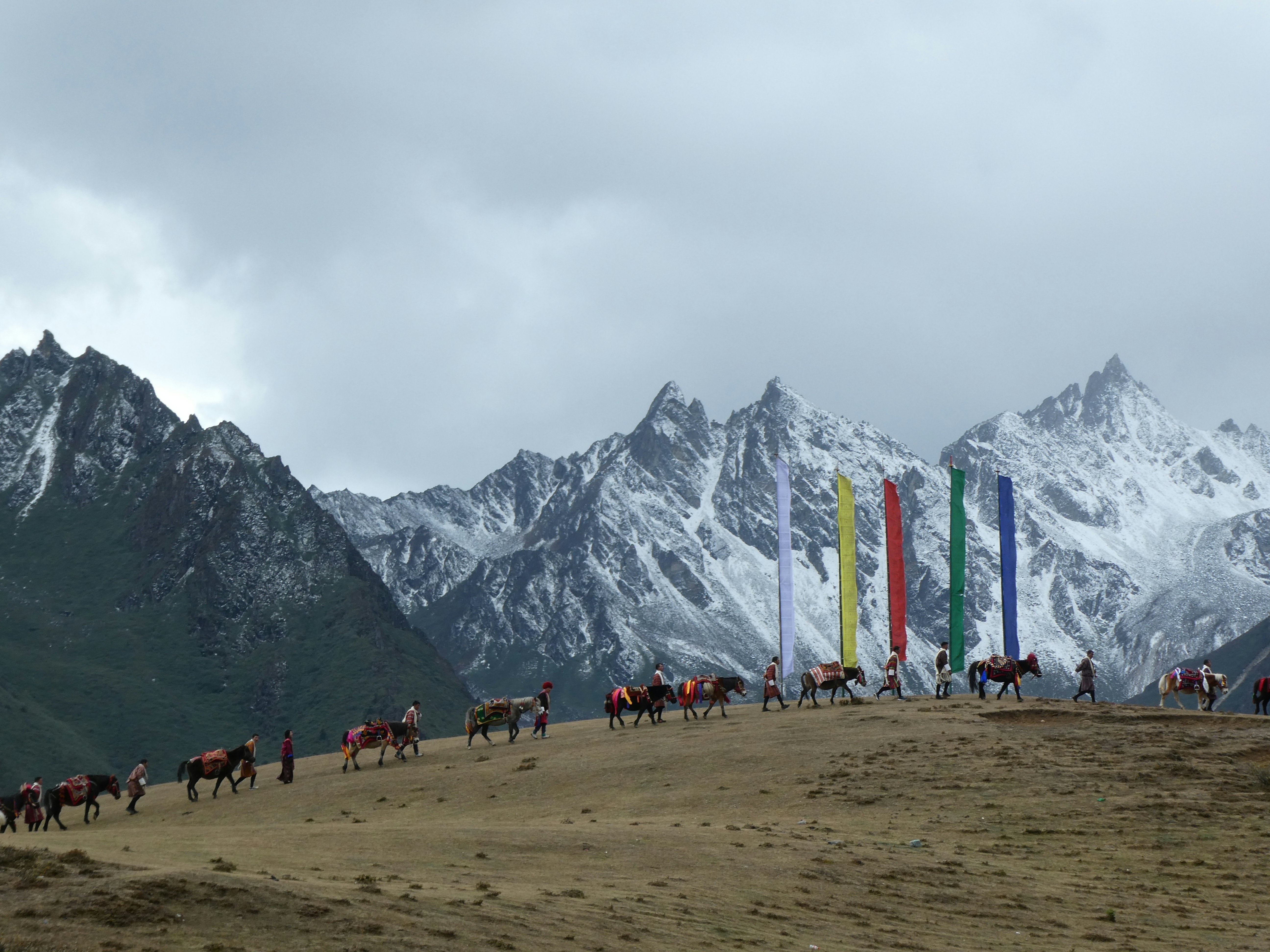 A group of horses walk in front of snowy mountains.