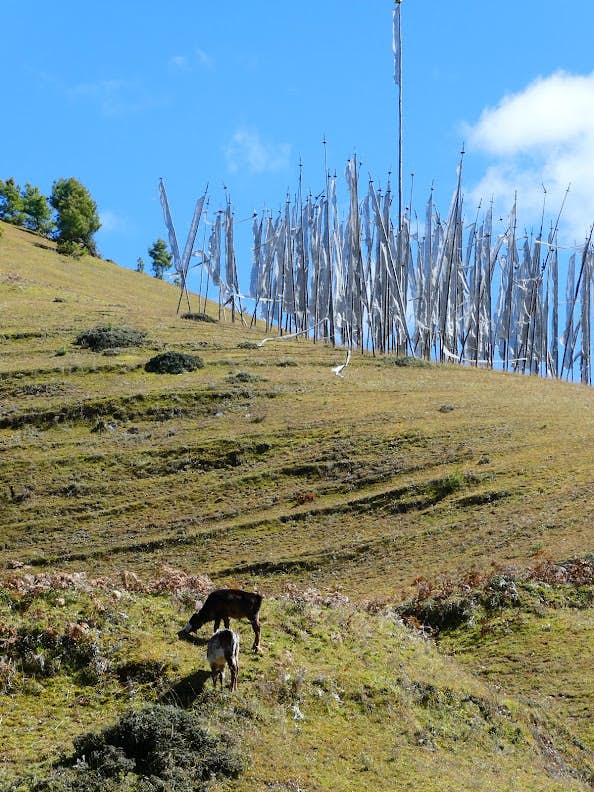 A hike in Phobjikha Valley. Acacia Gabriel/Lonely Planet