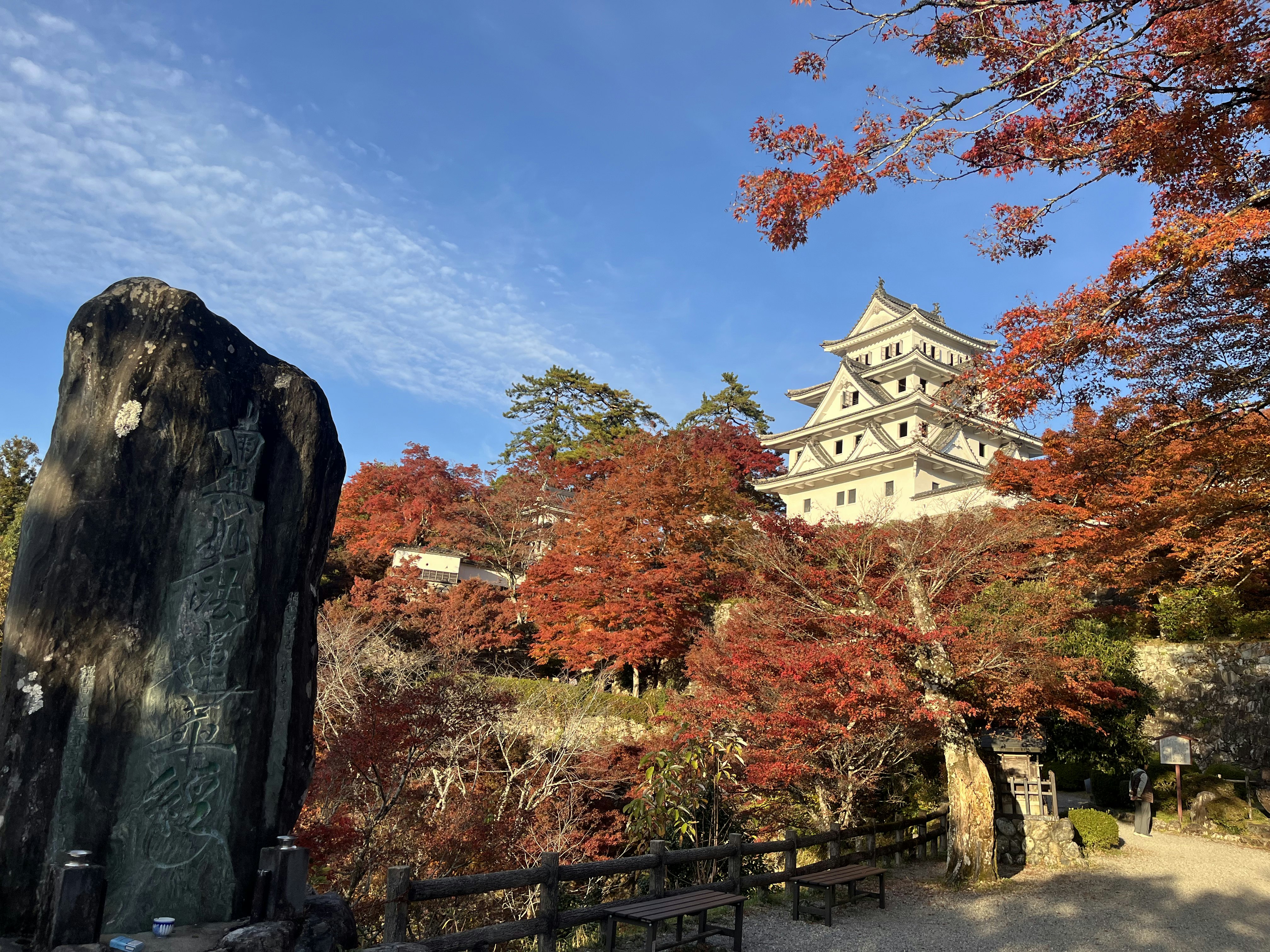 Gujo Hachiman Castle in autumn