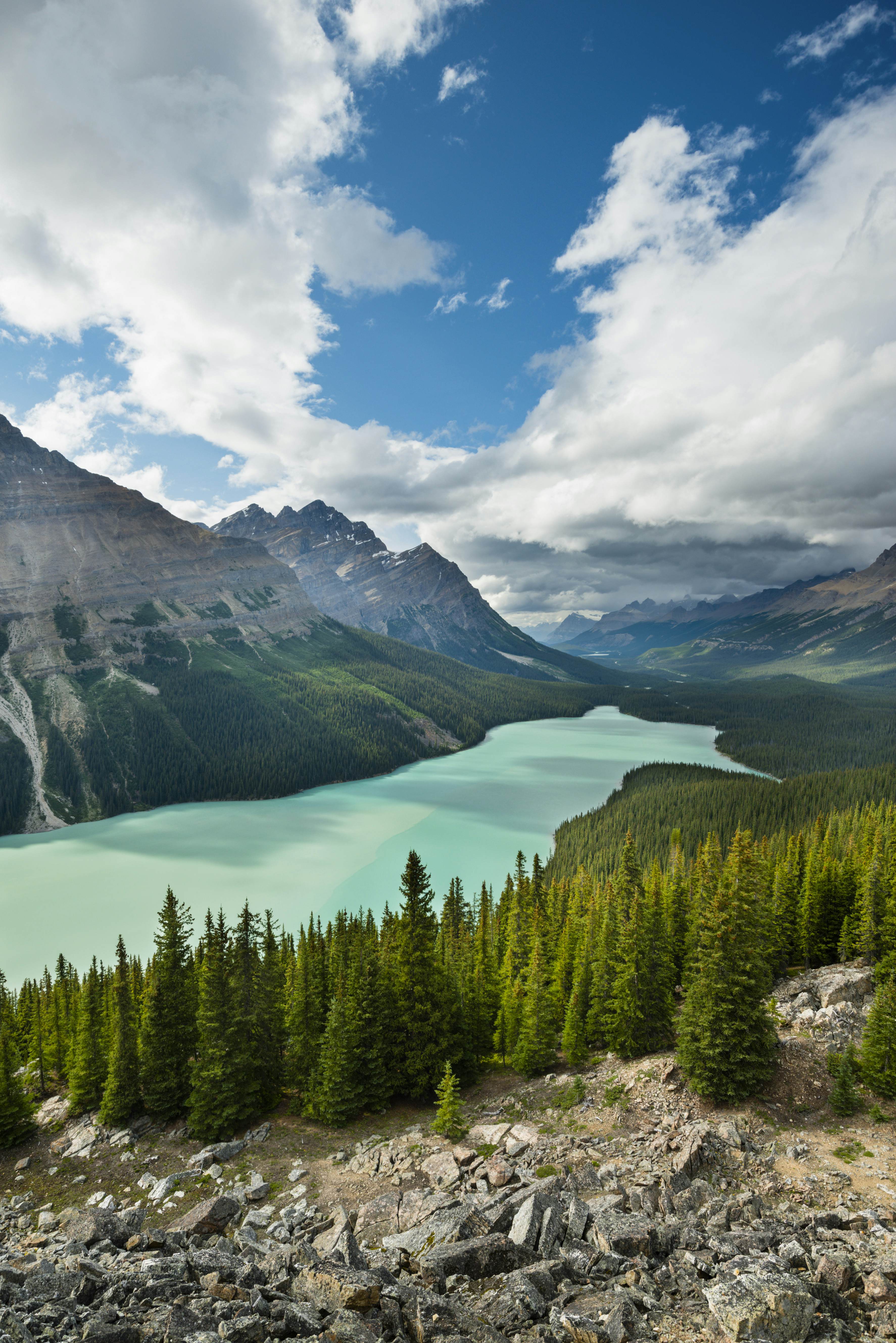 A green-blue alpine lake surrounded by woodland. 