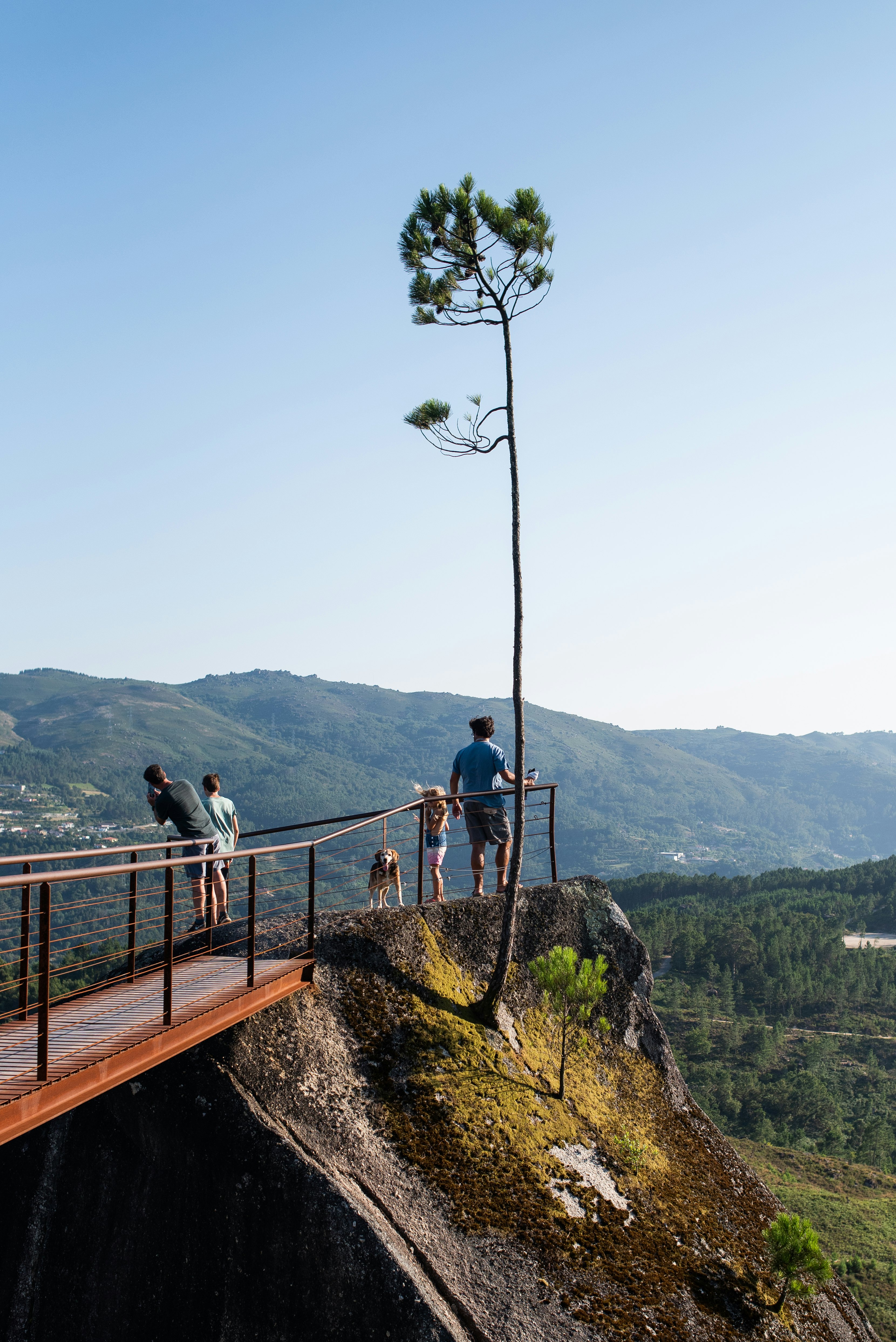 A man and three kids with a dog on a walkway that leads to a scenic view of green mountains