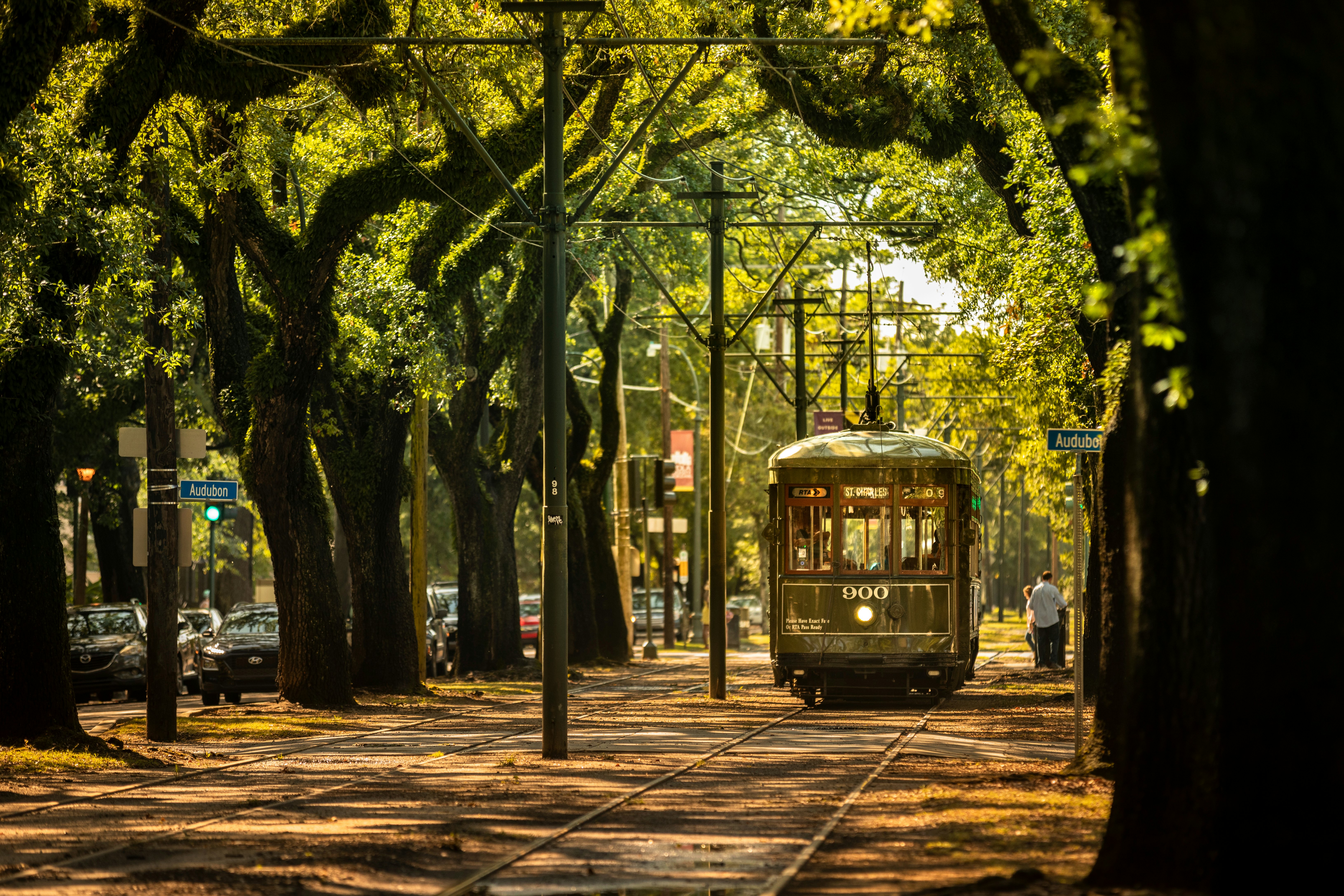 A streetcar trundles down a city street shaded by large oak trees.