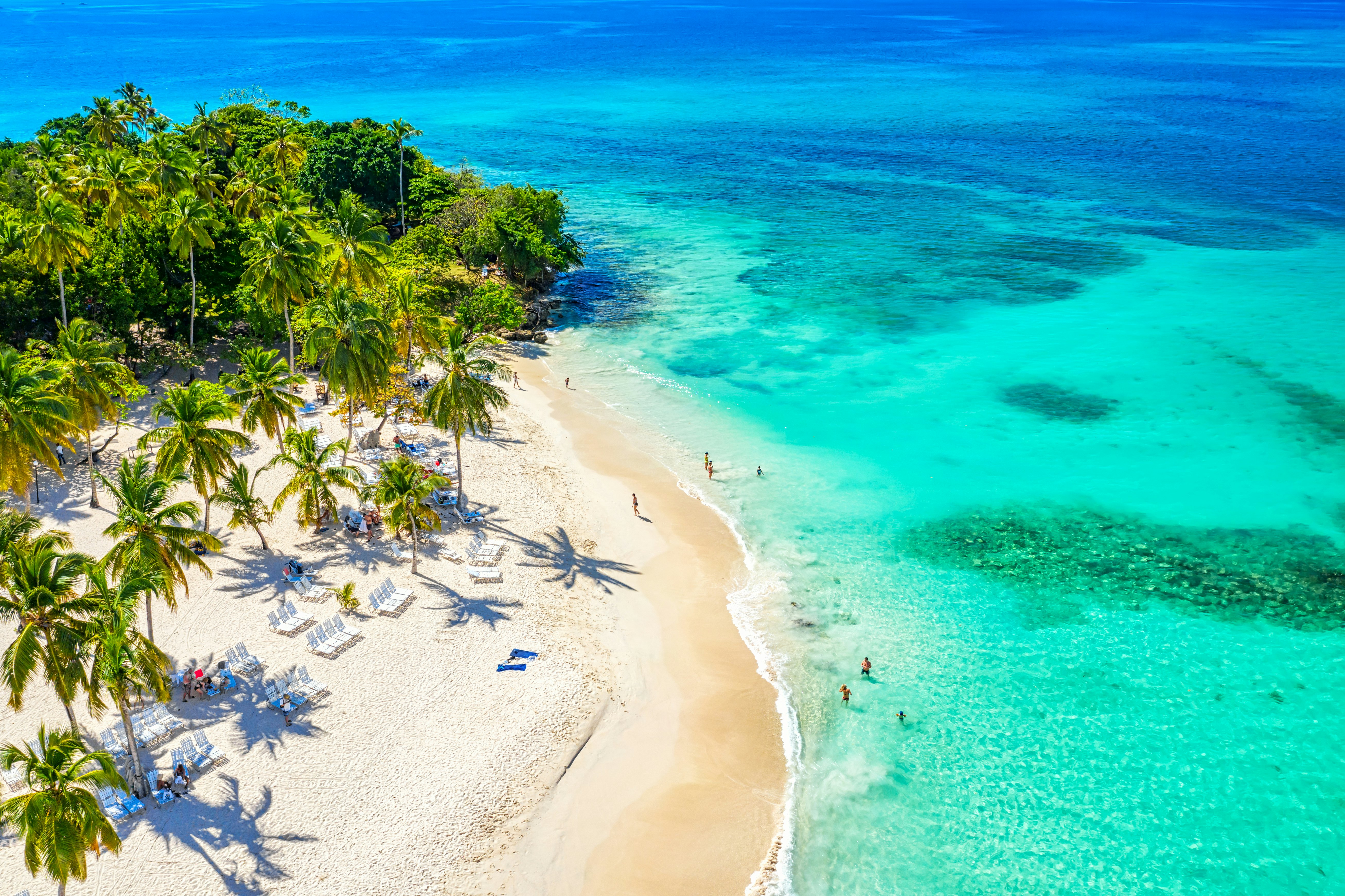 A white sand beach with palm trees and clear aqua water in the Dominican Republic.