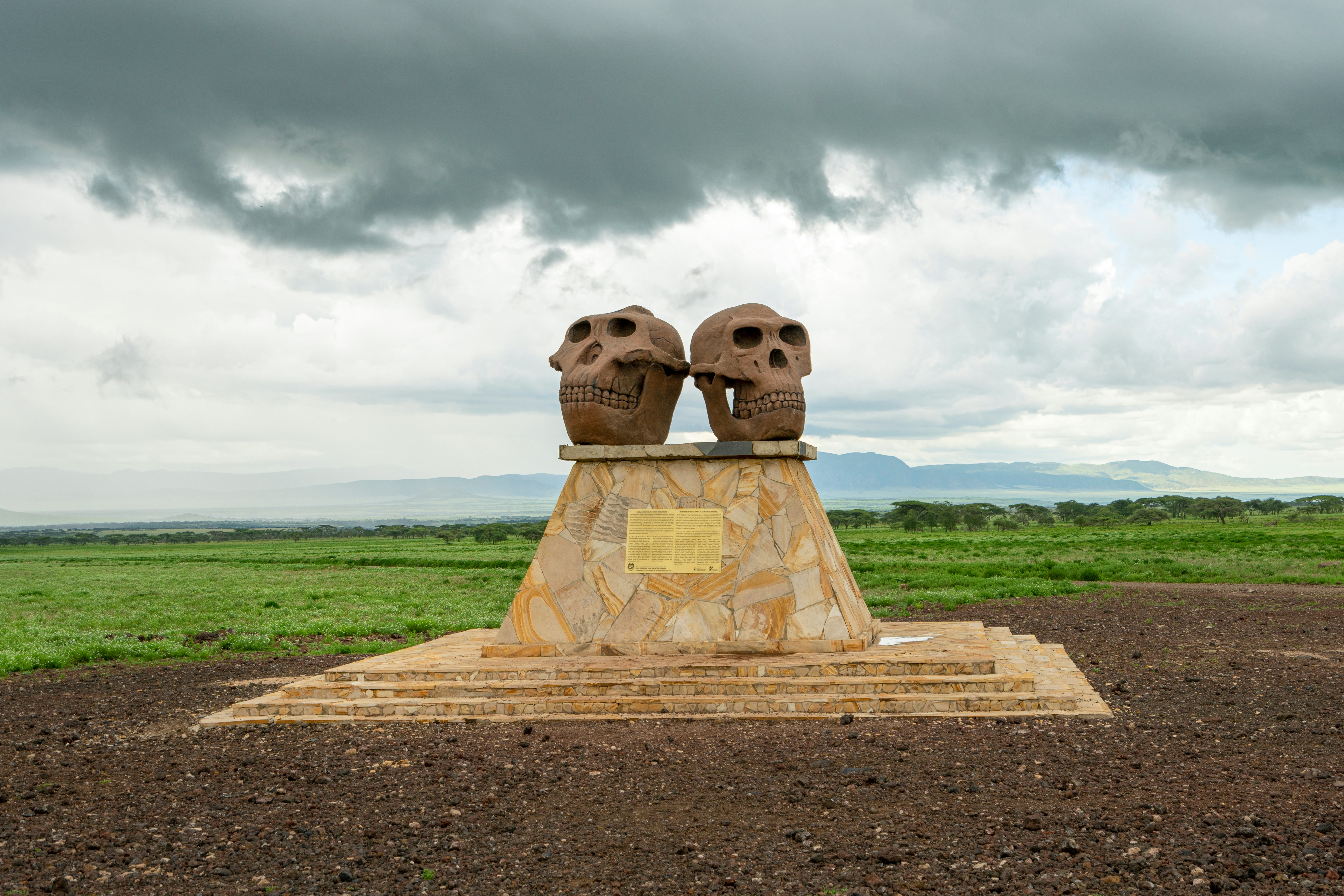 A statue of the skulls of Paranthropus (left) and Homo Habilis (right) at the entrance to the Olduvai Gorge Museum
