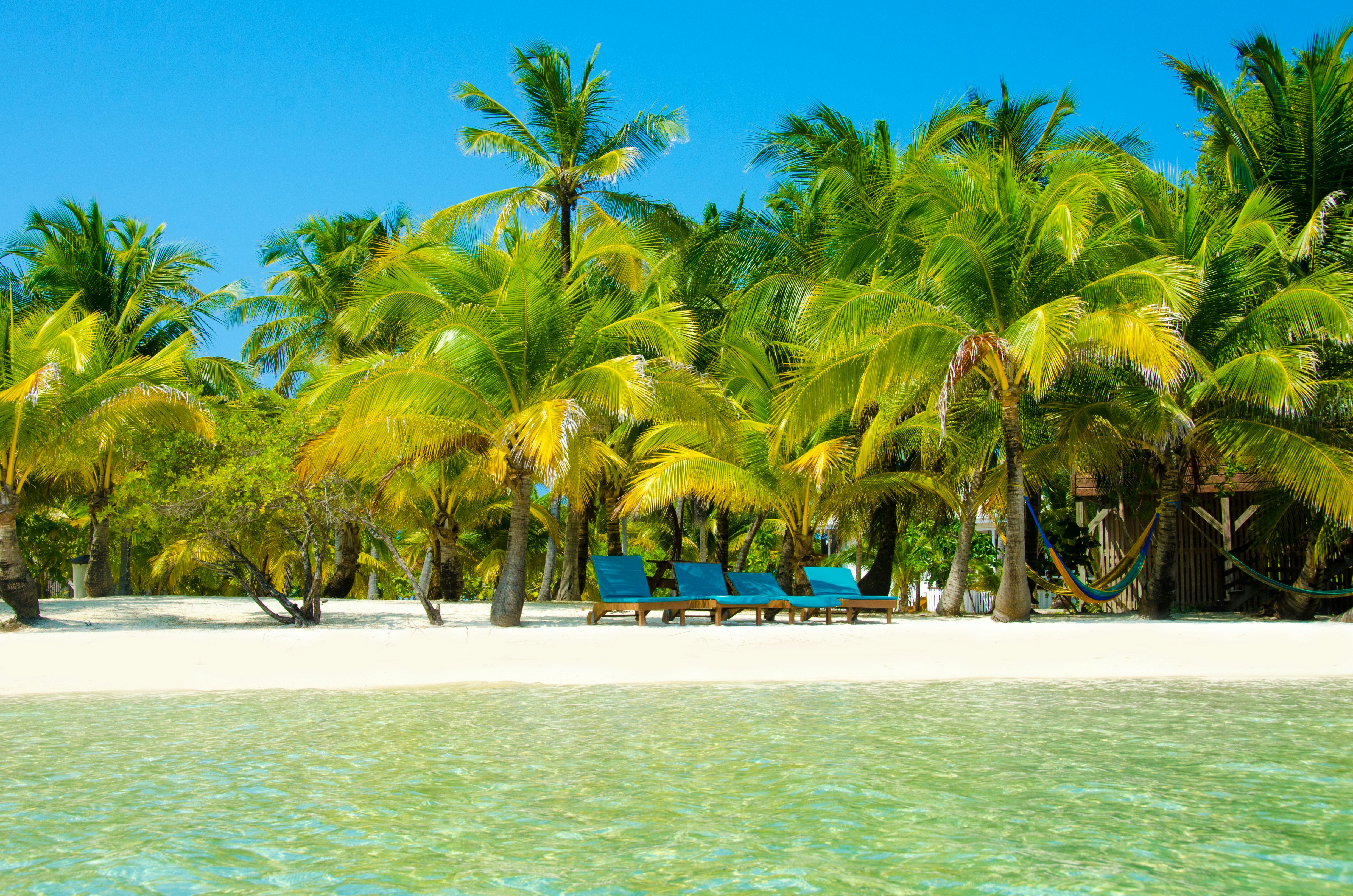 Palm trees provide shade to four sunloungers on a sandy beach lapped by clear green water.