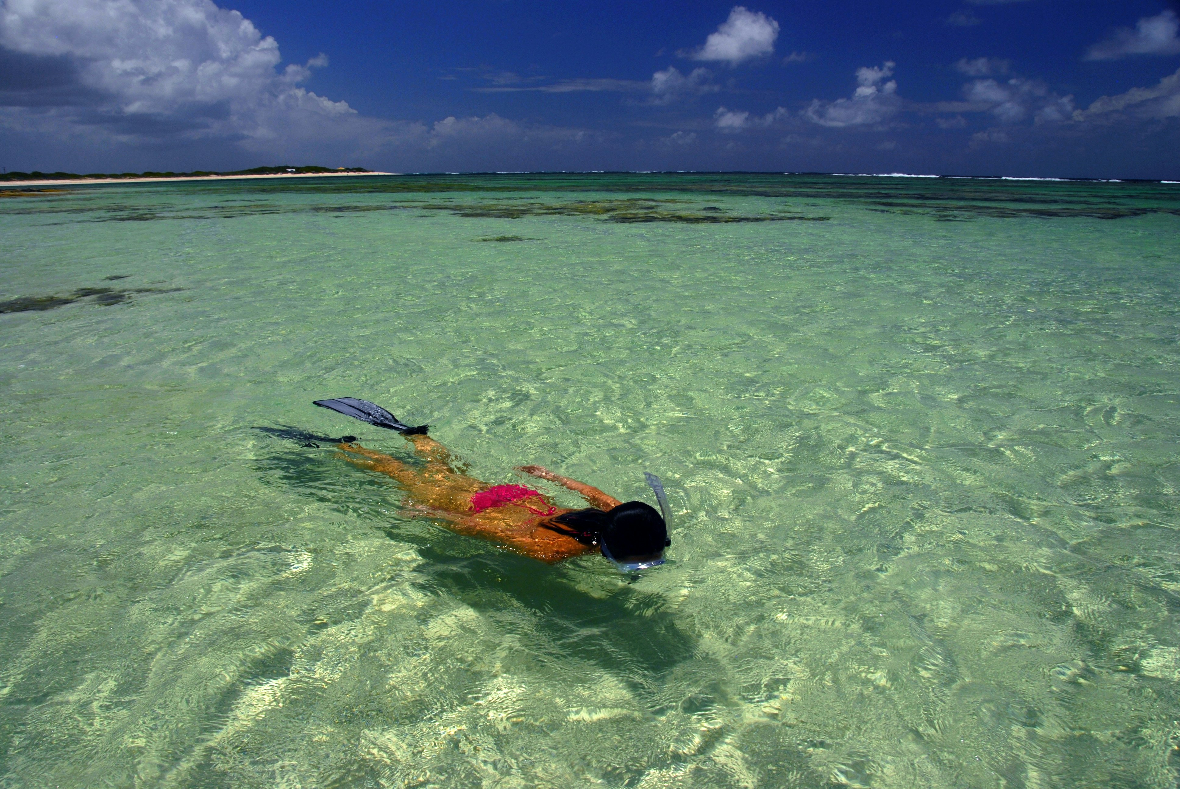 A woman is pictured from above snorkeling in shallow water.