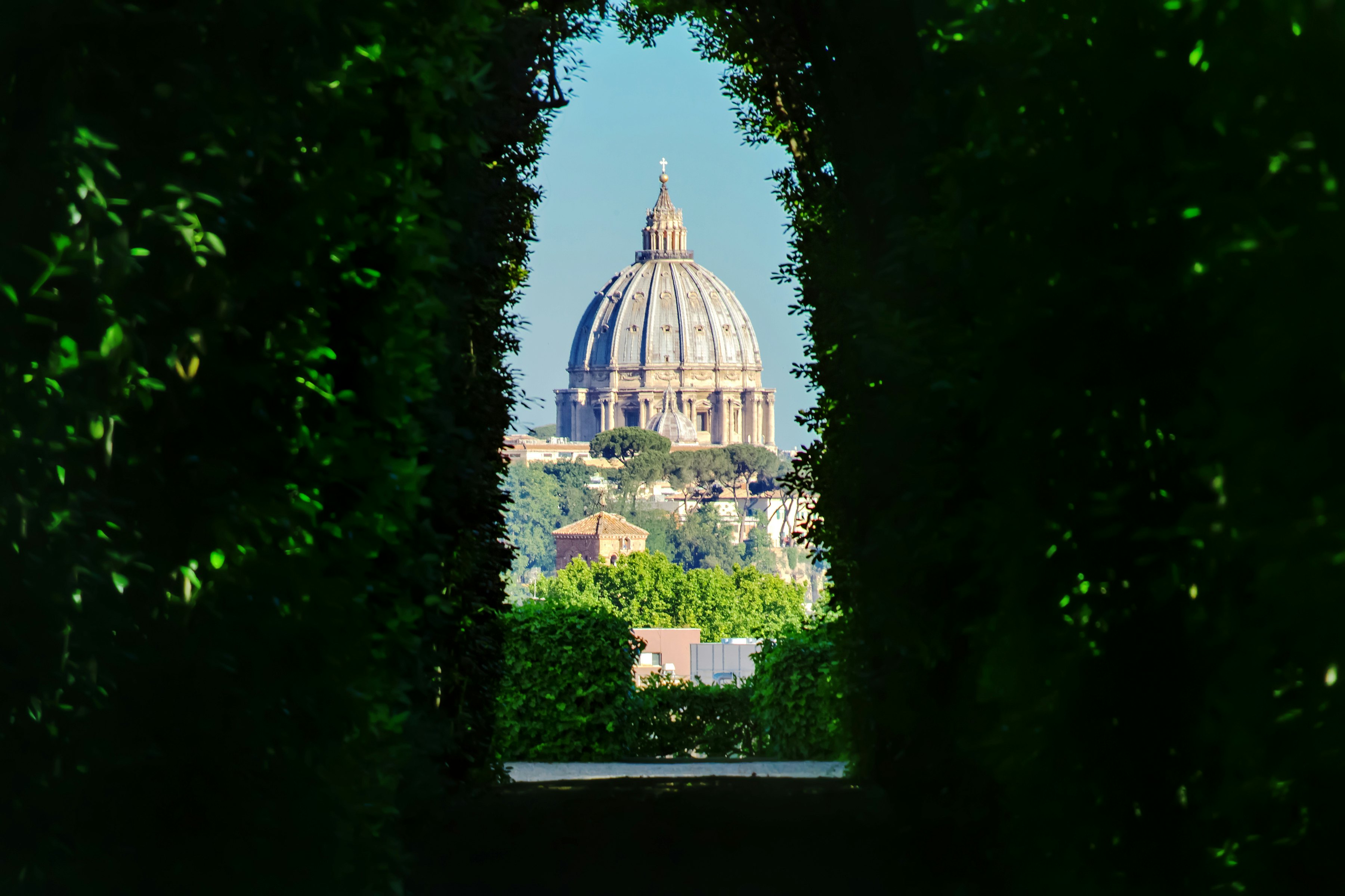 A classic dome of a cathedral building framed by hedges that have been shaped to frame the view.