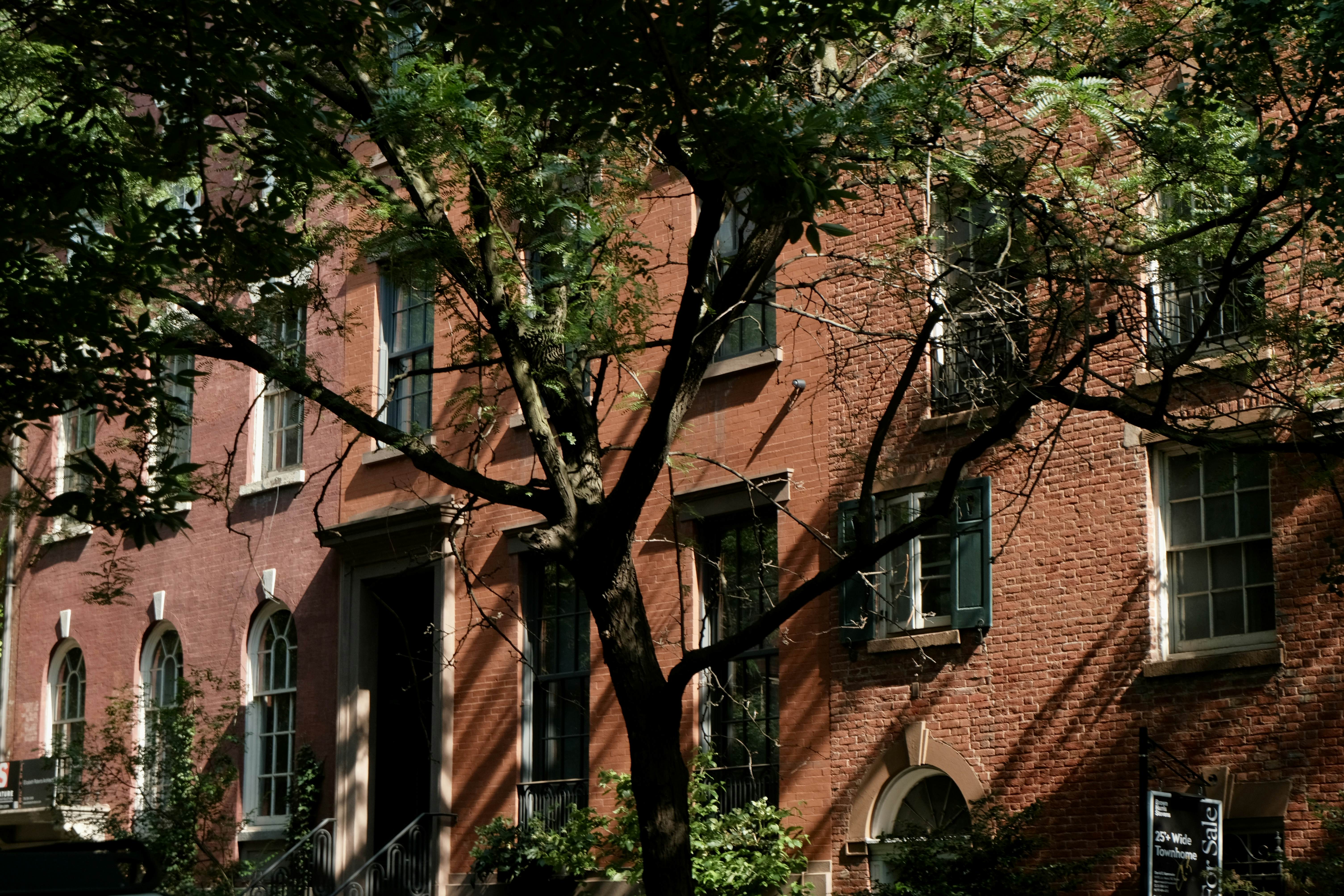 Brick facades of large row houses in the afternoon light.