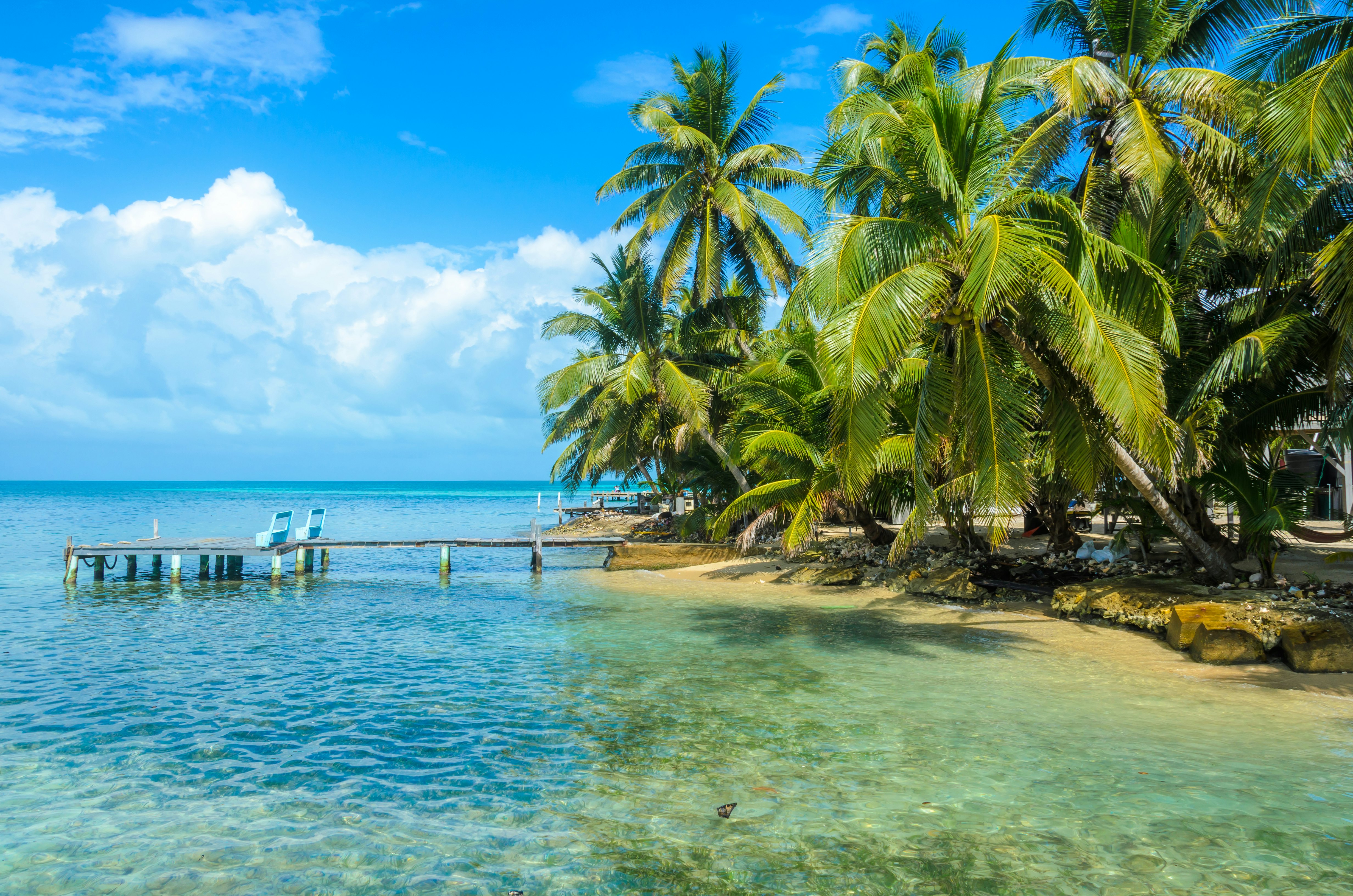 A short wooden pier over clear turquoise water in Belize; the shore has palm trees at the water's edge.