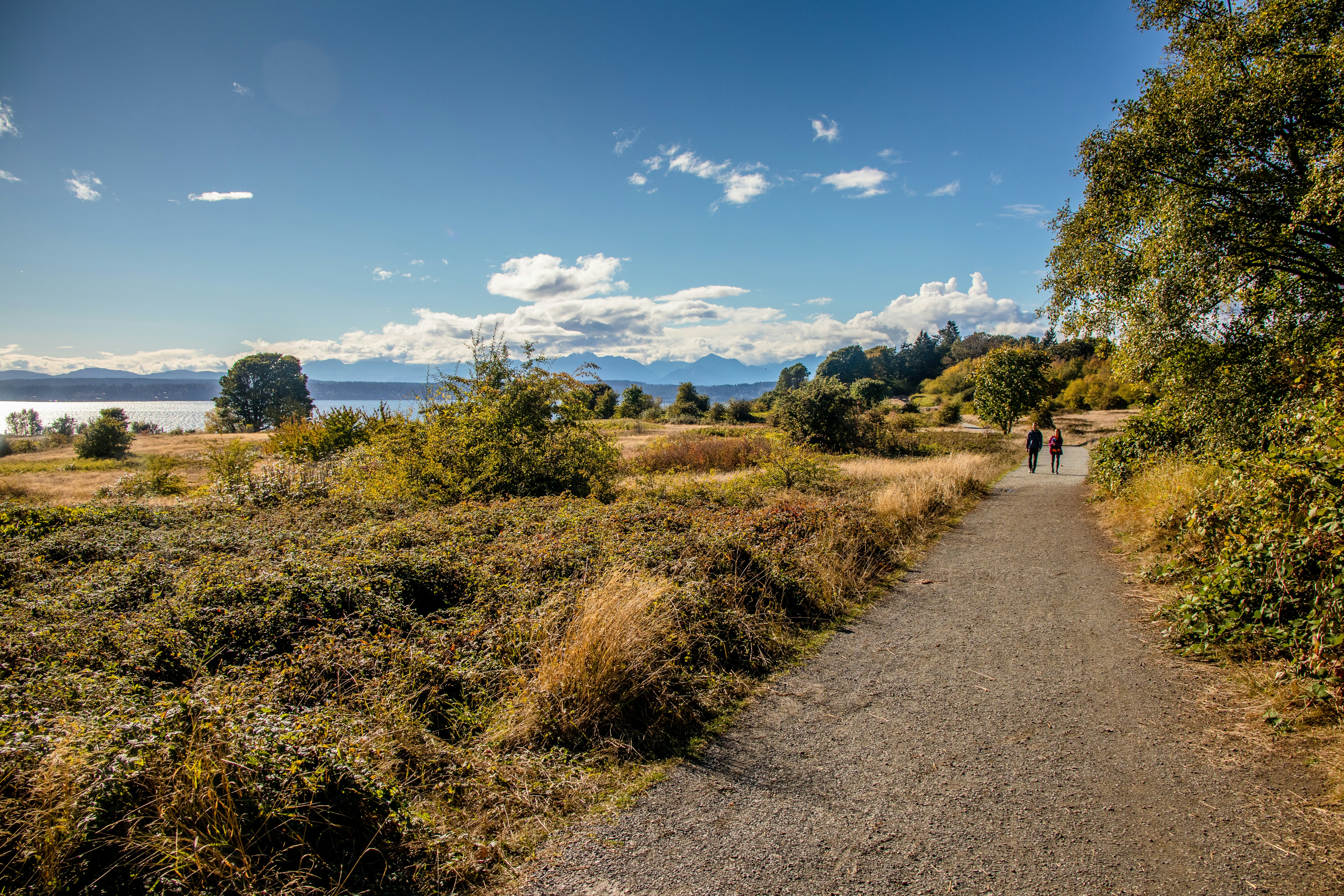 A walking path surrounded by greenery and a coastline in the distance. Two people are on the path.
