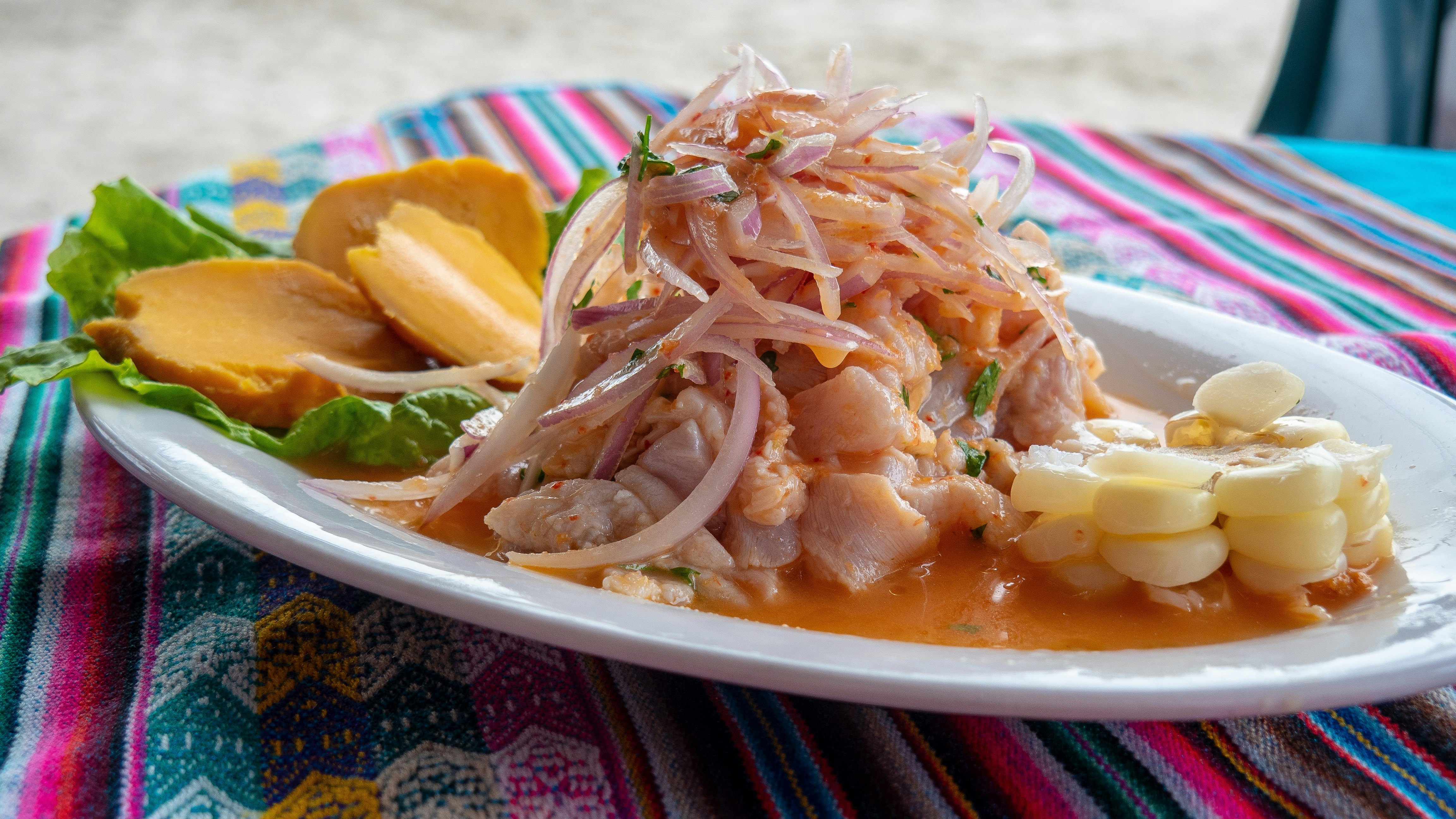 a plate of ceviche on a colorful striped blanket