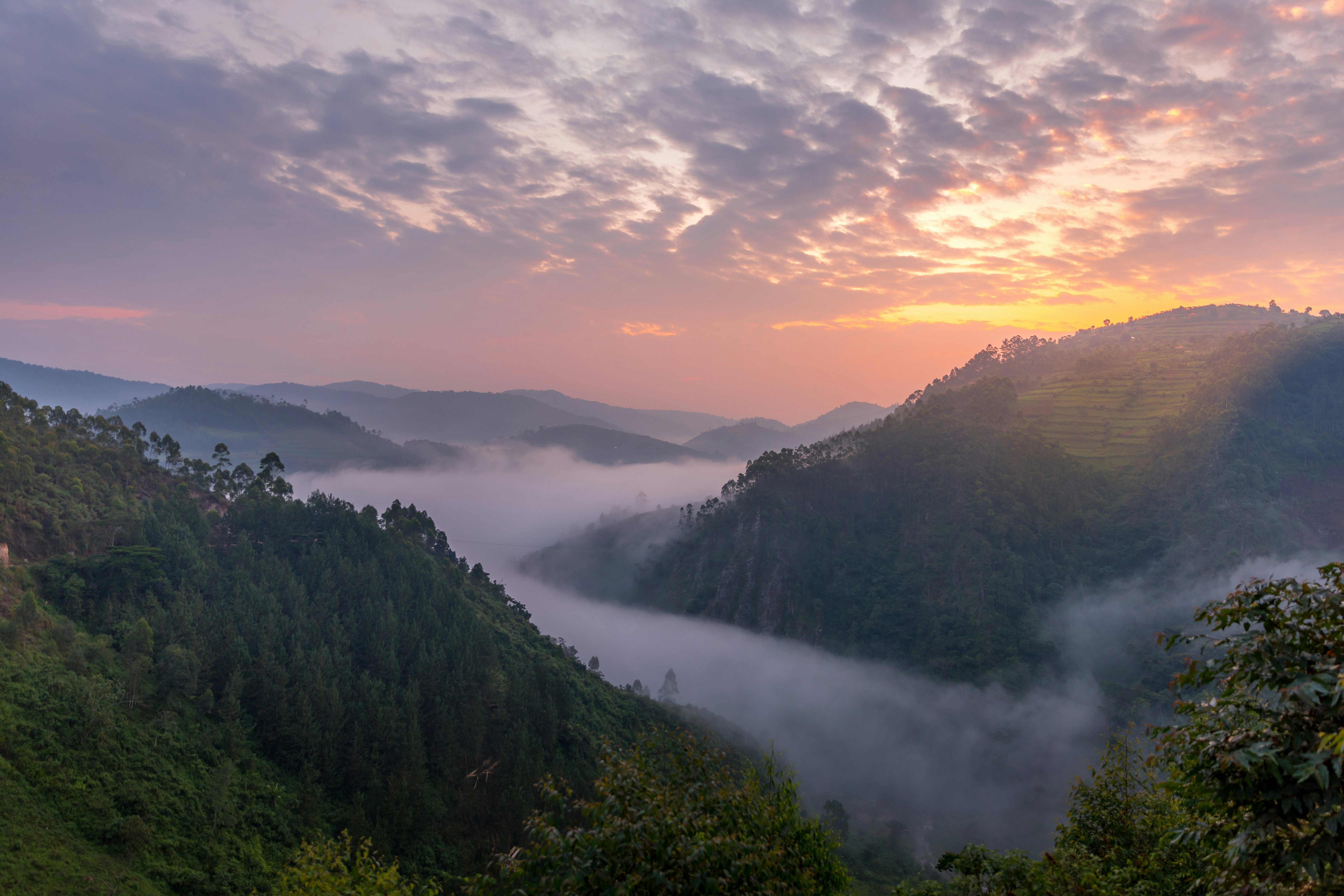 Beautiful landscape in southwestern Uganda, at the Bwindi Impenetrable Forest National Park, at the borders of Uganda, Congo and Rwanda. The Bwindi National Park is the home of the mountain gorillas.