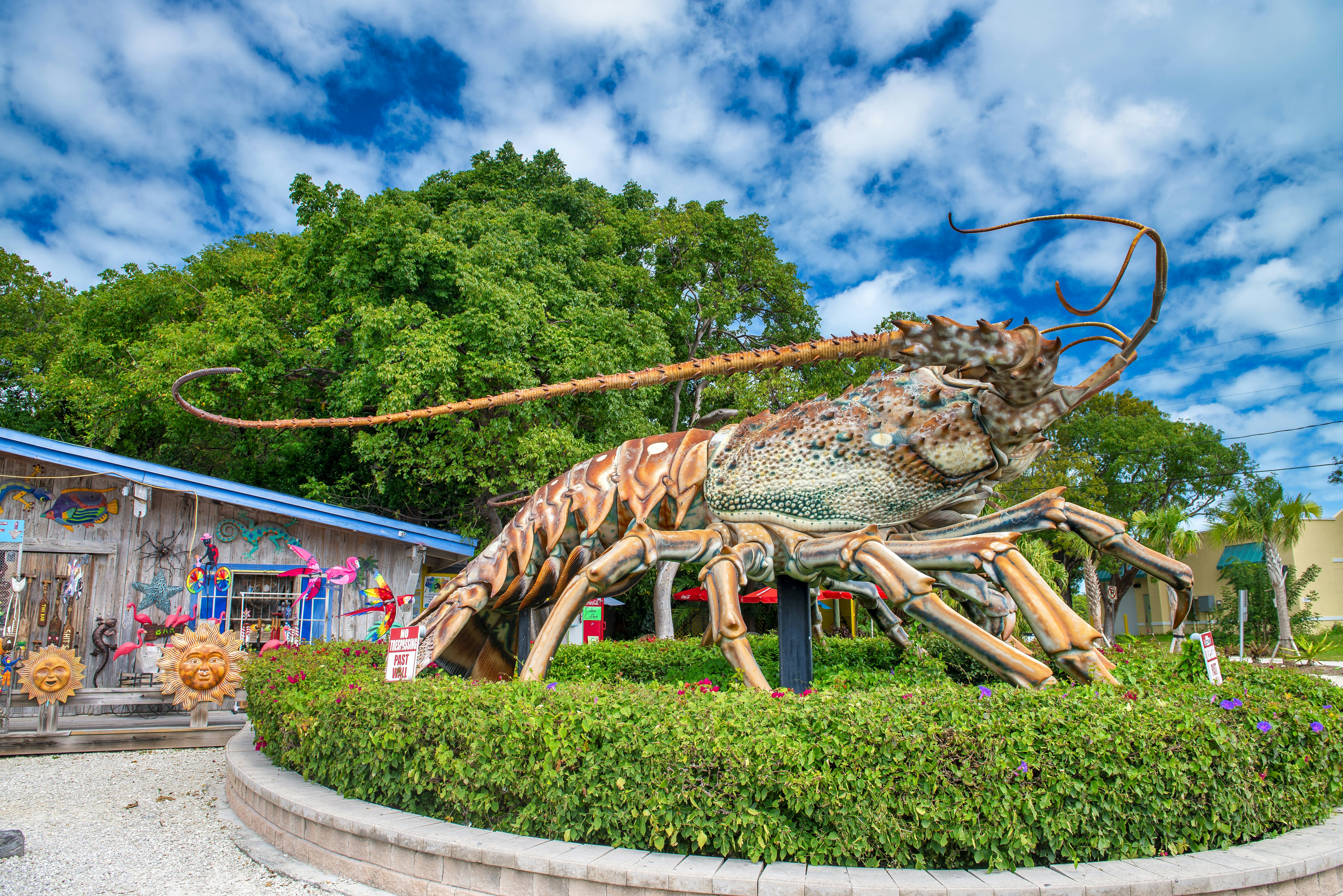 A giant sculpture of a spiny lobster is installed amid plantings by a highway.
