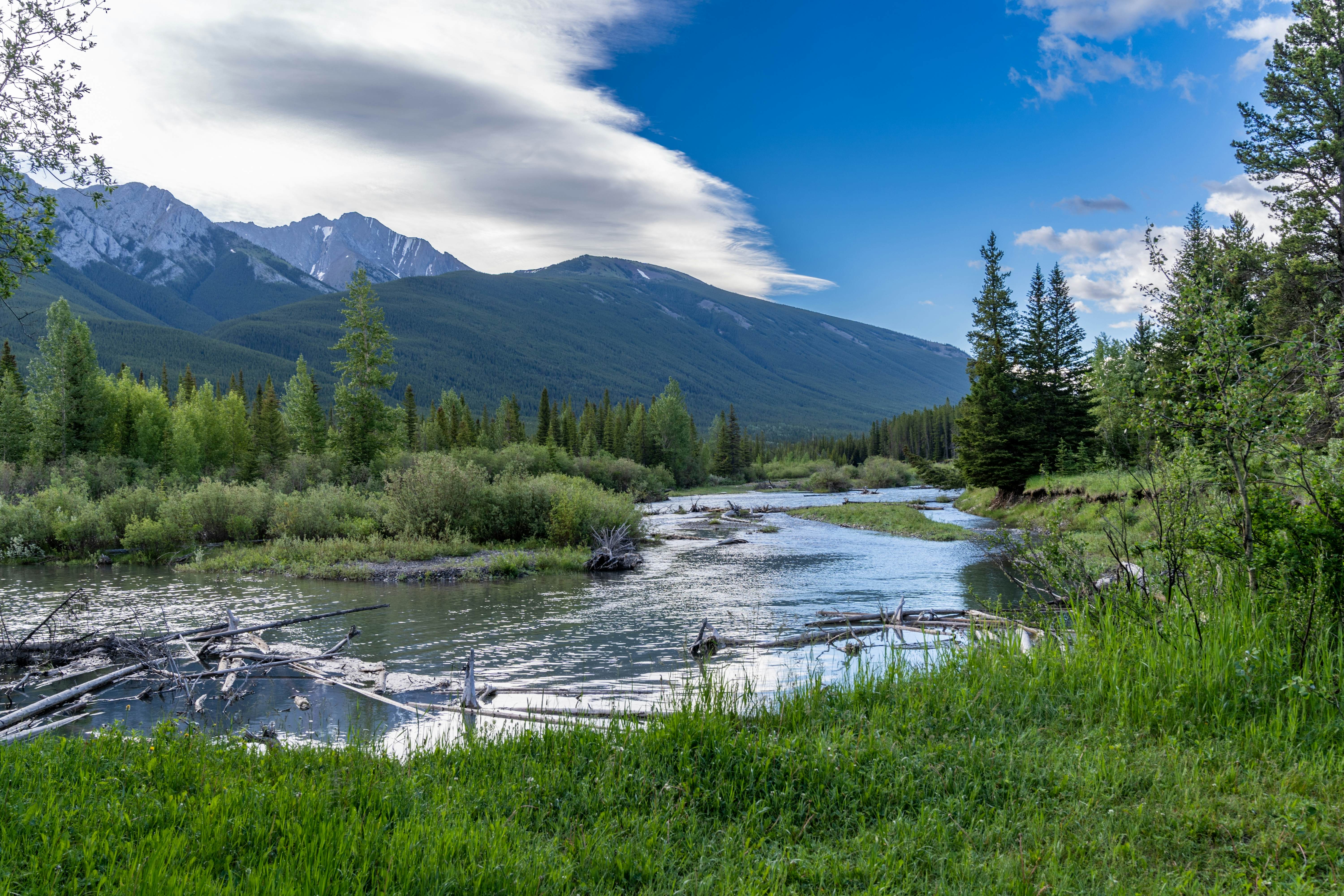 A clear stream has greenery on either side and mountains beyond the shore.