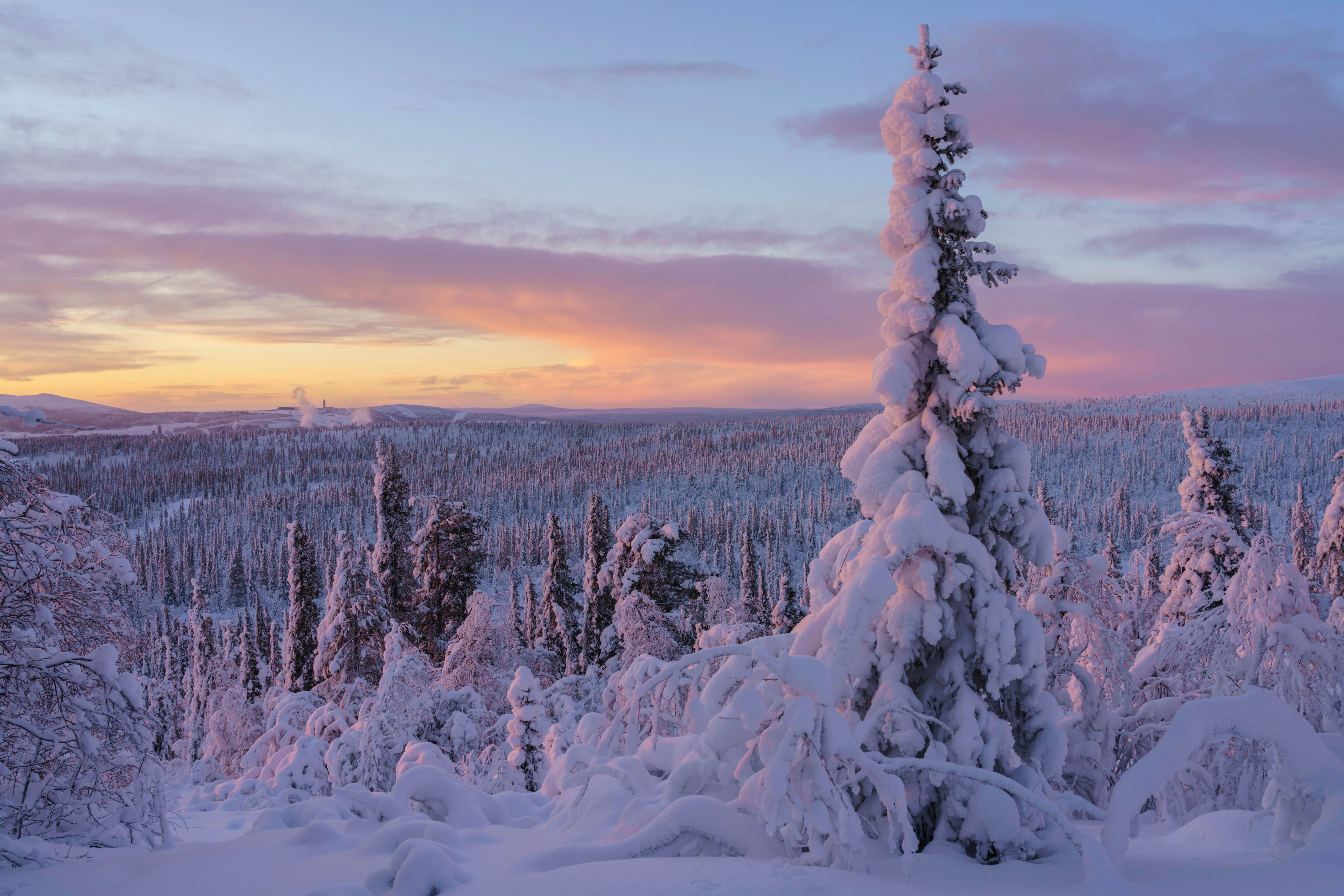 Winter landscape in sunset with plenty of snow and nice color in the sky