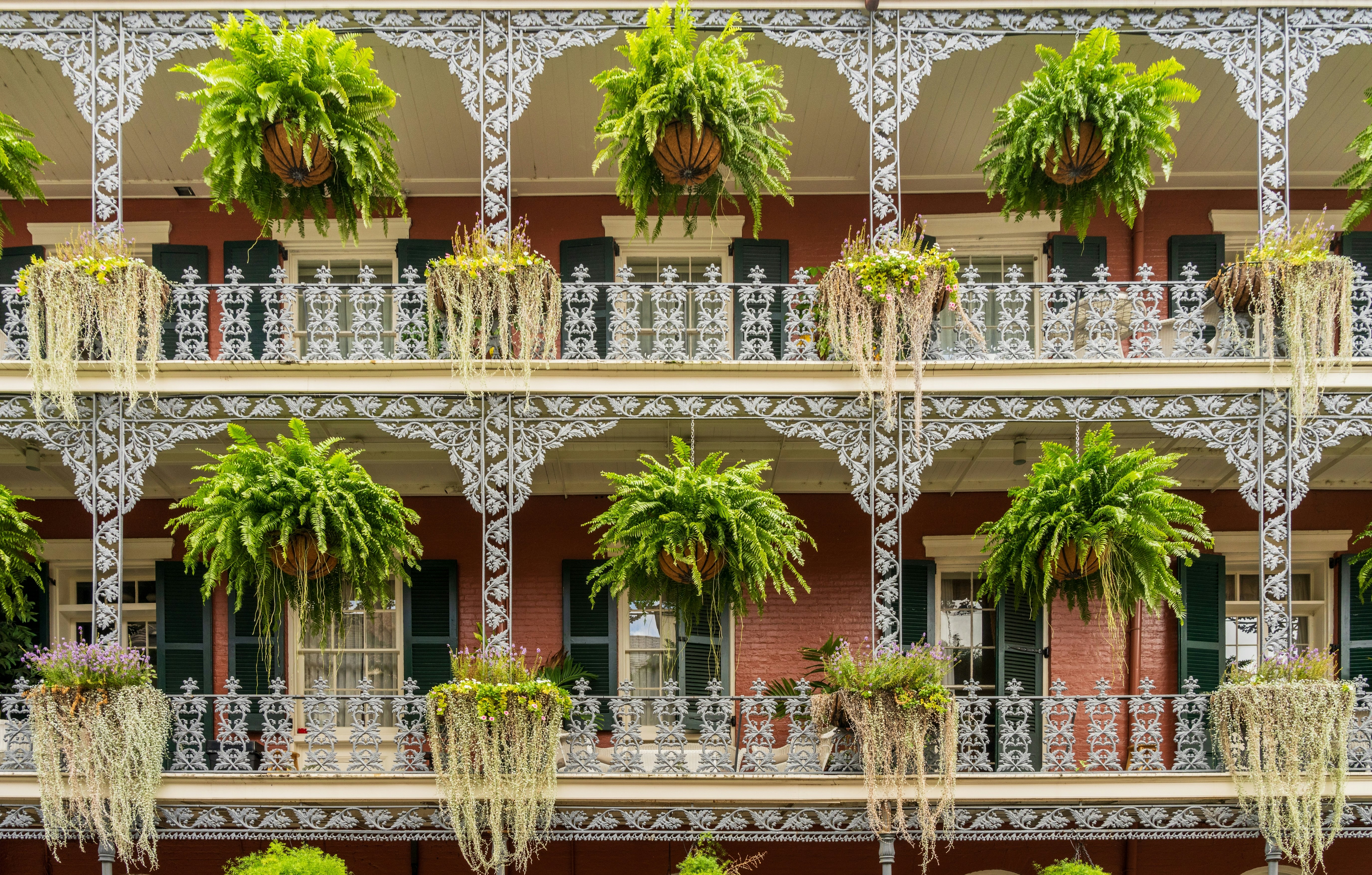Planted ferns hang from white wrought iron balconies on a historic building.