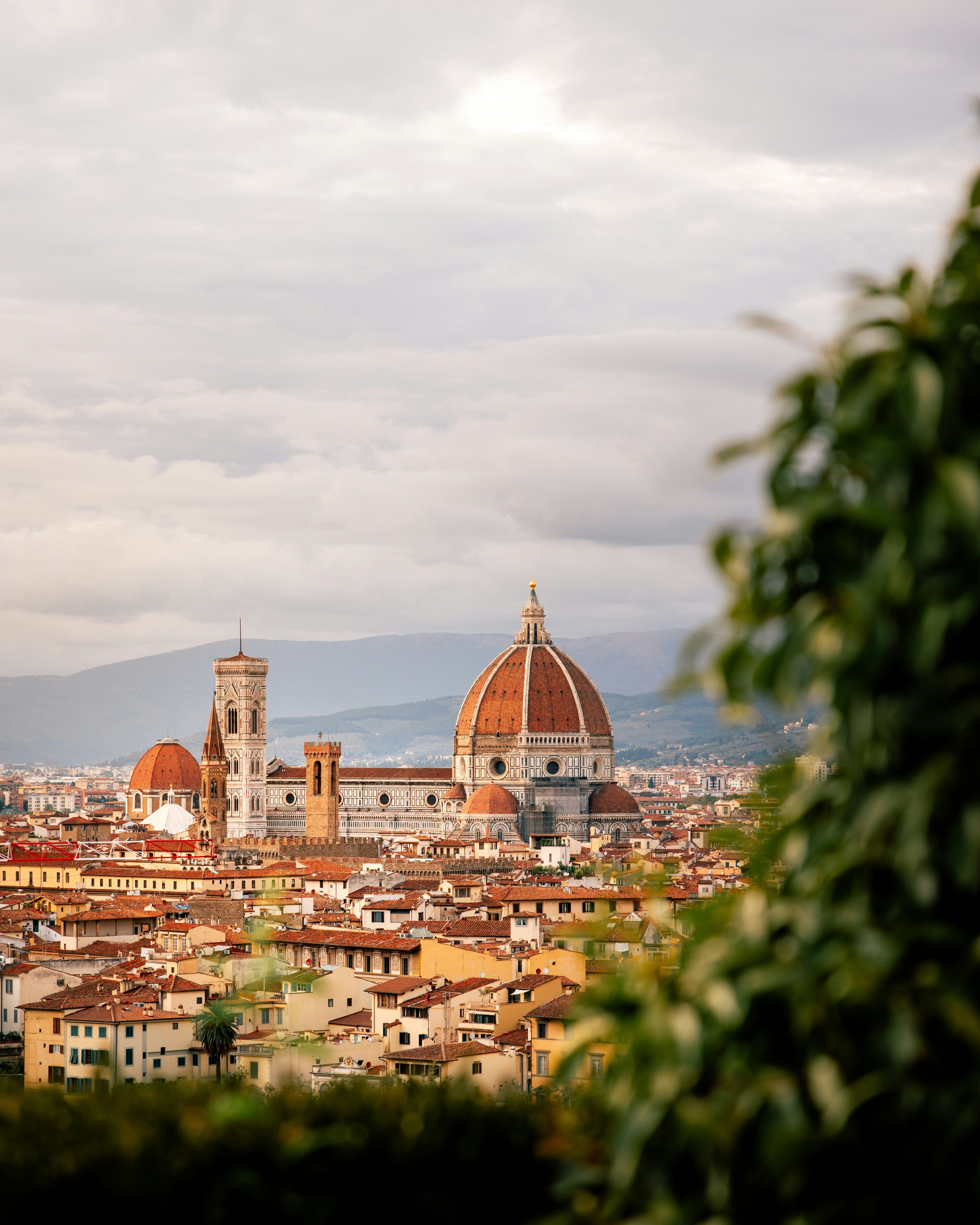 red-topped buildings with blurry greenery in the foreground