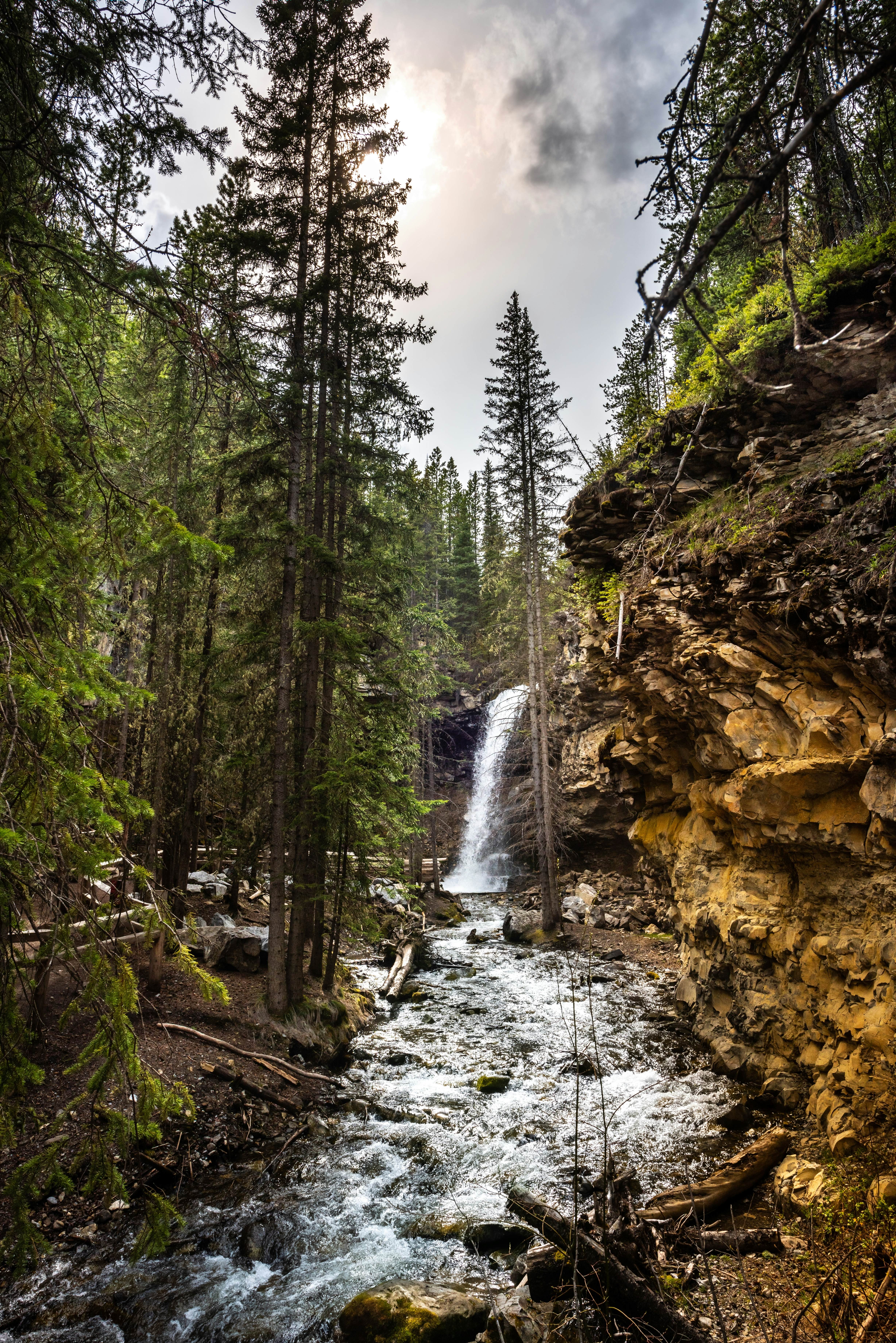 A waterfall rushes into a creek surrounded by forest.
