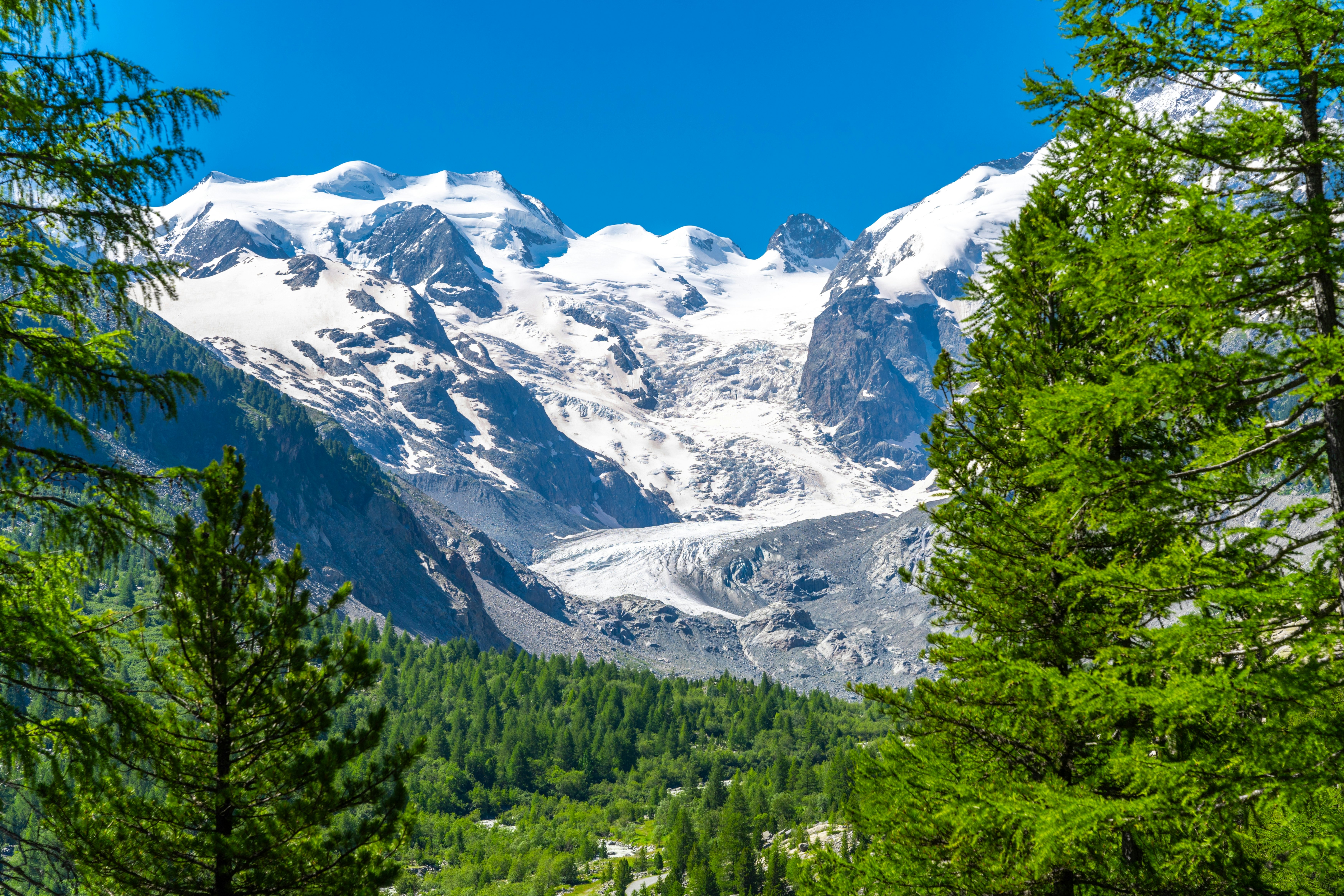 Morteratsch Glacier in the morning surrounded by a vibrant green forest. Peaks like Piz Palü, Bellavista, Pizzo Zupò, Crast Agüzza and Piz Bernina can be seen in the background.