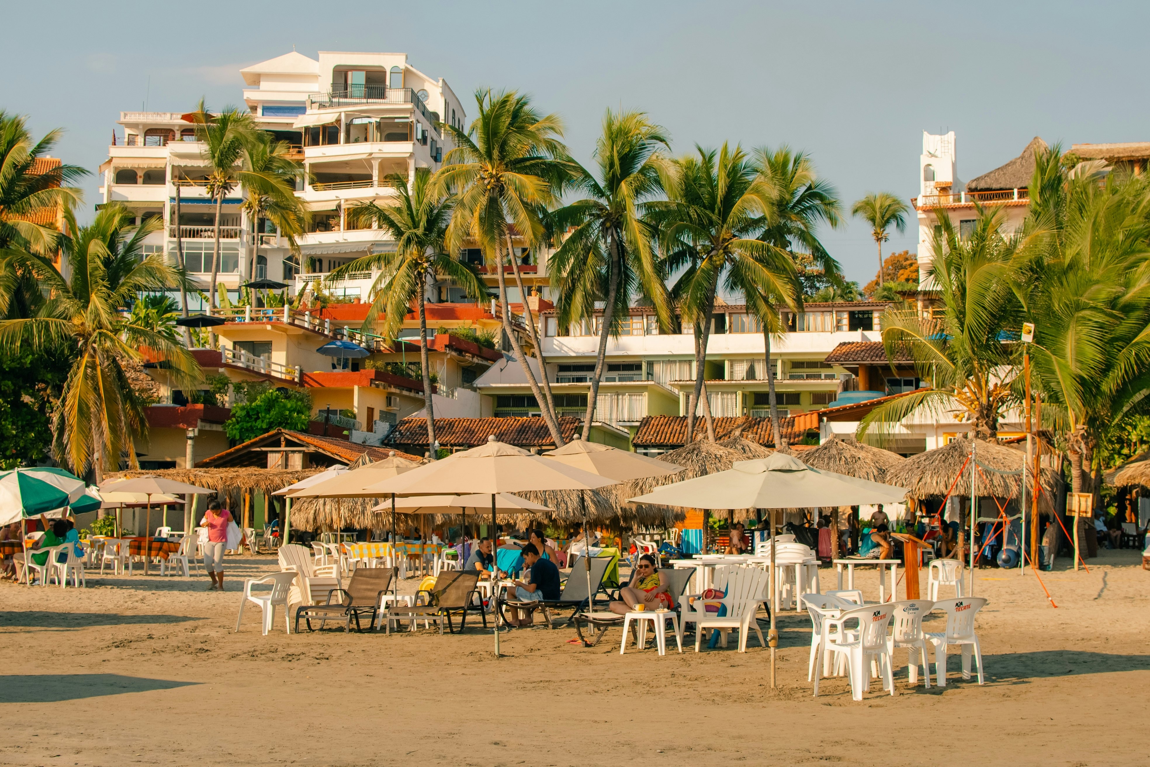 Plastic chairs under beach umbrellas with palm trees